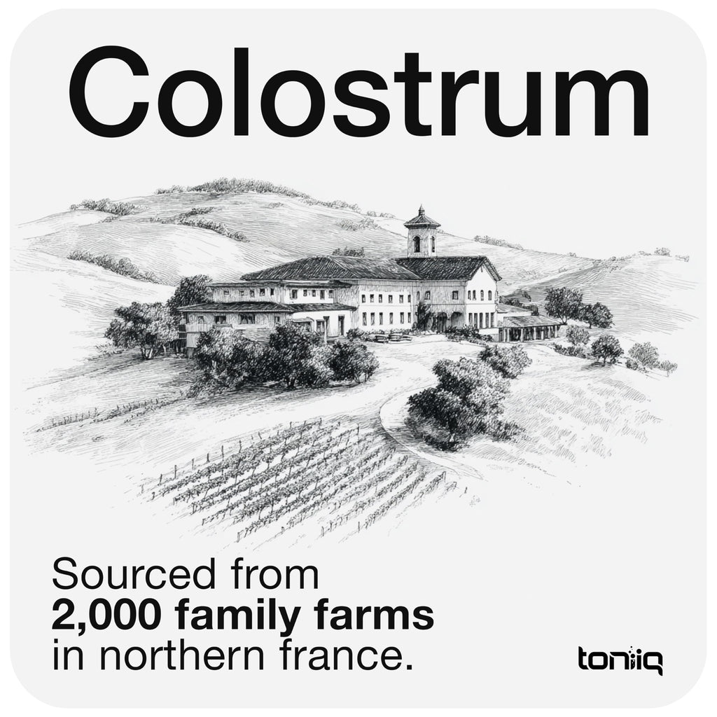 Toniiq Colostrum Powder – Ultra High Potency 50% IgG Concentrate – Farm-to-Jar Traceable French Colostrum – Microfiltered for Purity – Third-Party Lab Verified – 30 Servings Toniiq Au supplements