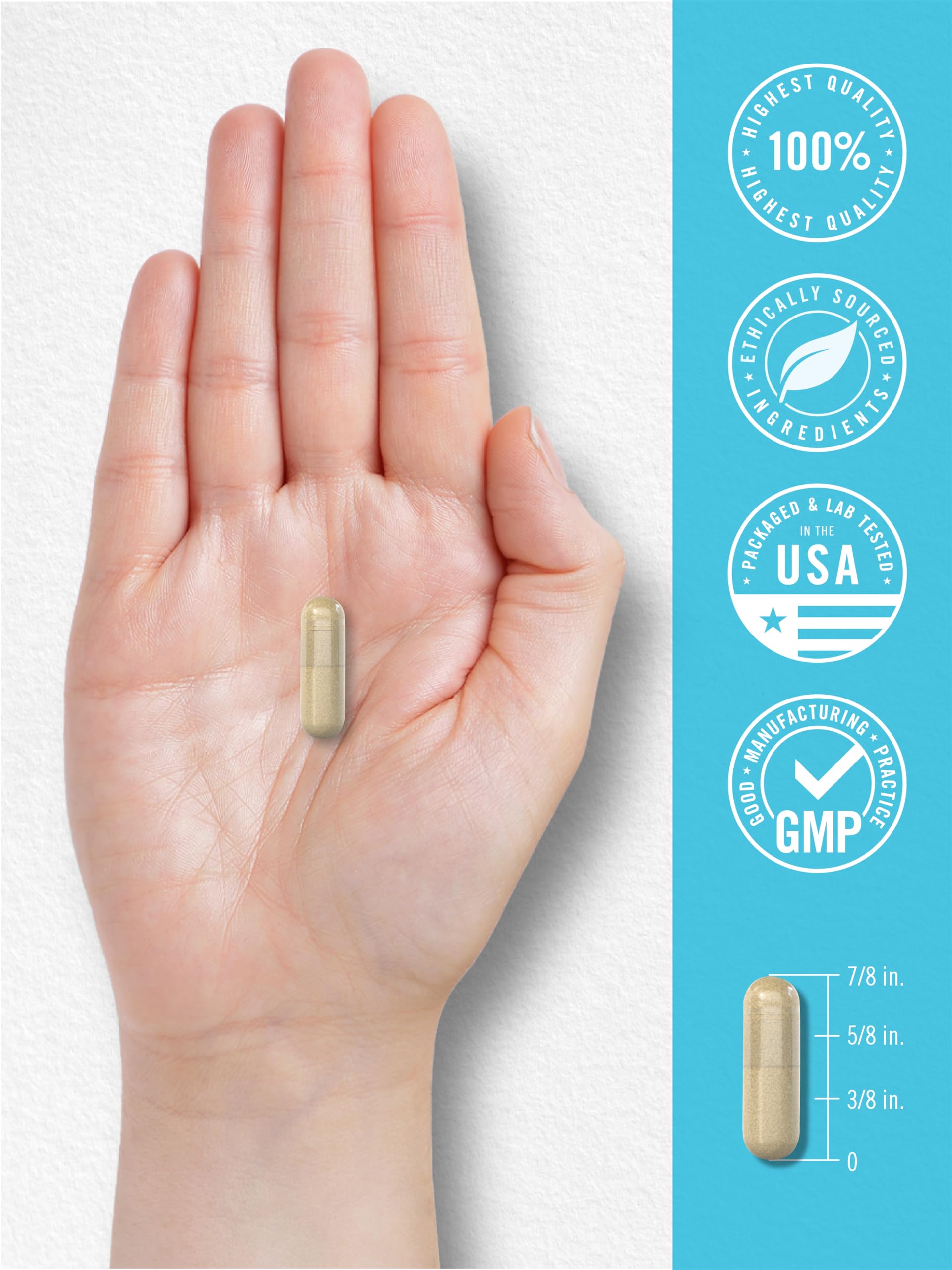 Carlyle NAD+ Supplement 1000 mg | 60 Capsules | with Resveratrol and Collagen | Advanced Complex for Women and Men | Non-GMO & Gluten Free Carlyle Au supplements