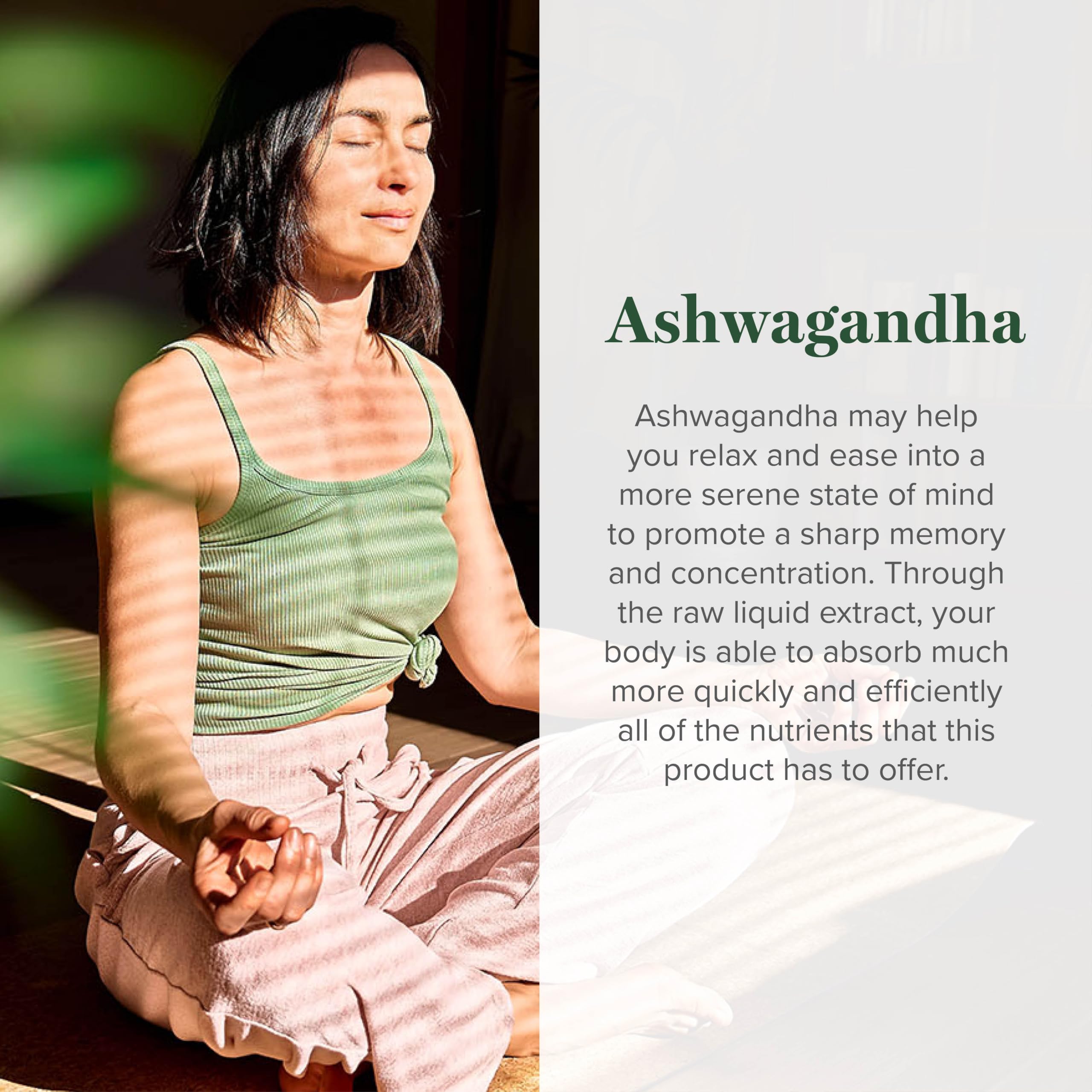 Global Healing Center - Organic Ashwagandha Supplements Drops - KSM-66 Ashwagandha Extra Strength for Men & Women, Helps Promote Relief from Stress, Mood Support, Organic (2 Fl Oz) Global Healing Center Au supplements