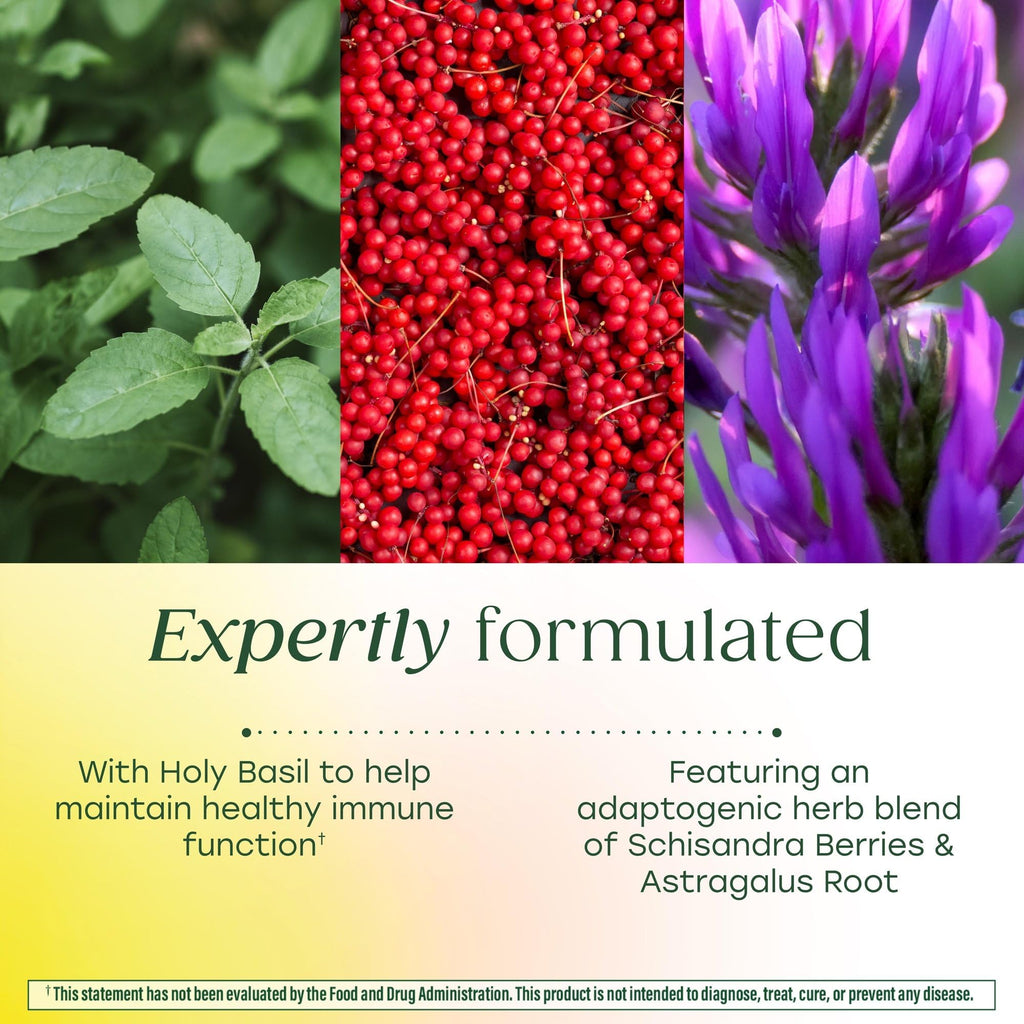 MegaFood Ashwagandha Complex (Formerly Stress Protect) - Ashwagandha Supplements Astragalus Root & Holy Basil - Vegetarian, Gluten Free, Cortisol Supplement - 60 Mini Tablets, 30 Servings MegaFood Au supplements