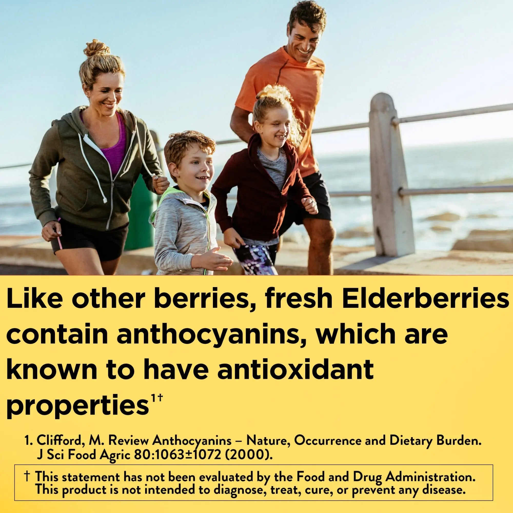 Nature Made Elderberry 400 mg Extract with Vitamin C and Zinc, Dietary Supplement Nature Made Au supplements