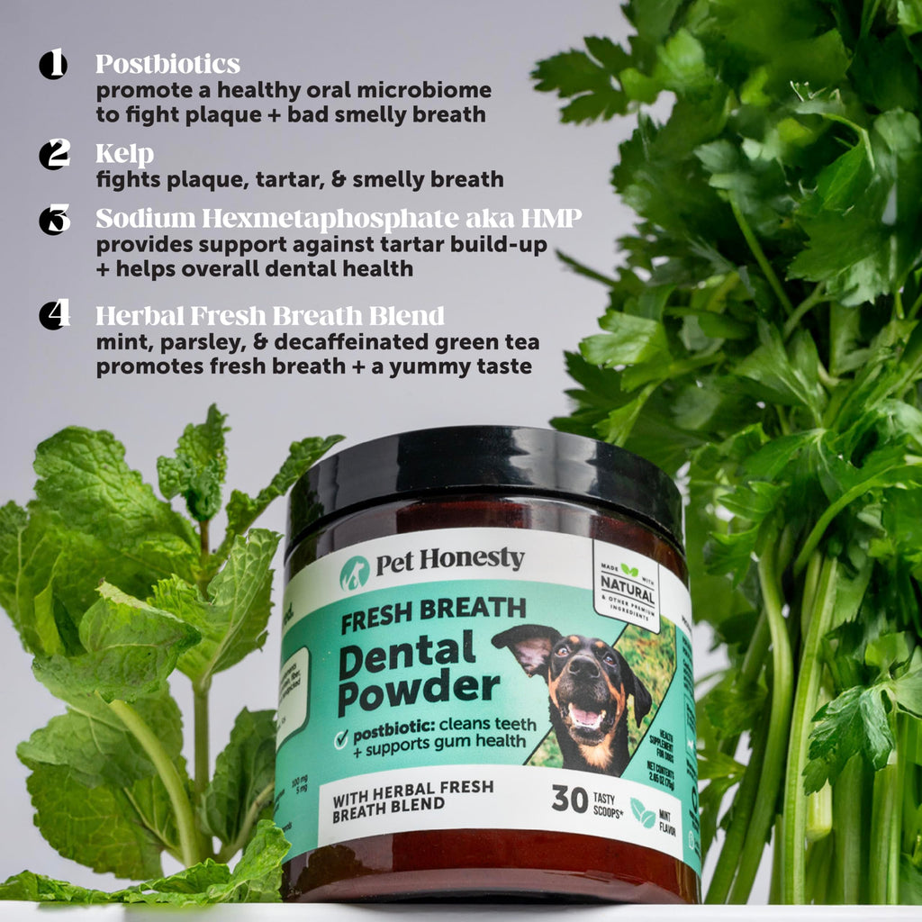 Dog Breath Freshener Dental Powder for Teeth Cleaning Plaque Off, Dental Care for Dogs, Tartar Remover for Teeth with Natural Herbal Blend + Postbiotics (Mint - 30 Servings) Pet Honesty Au supplements
