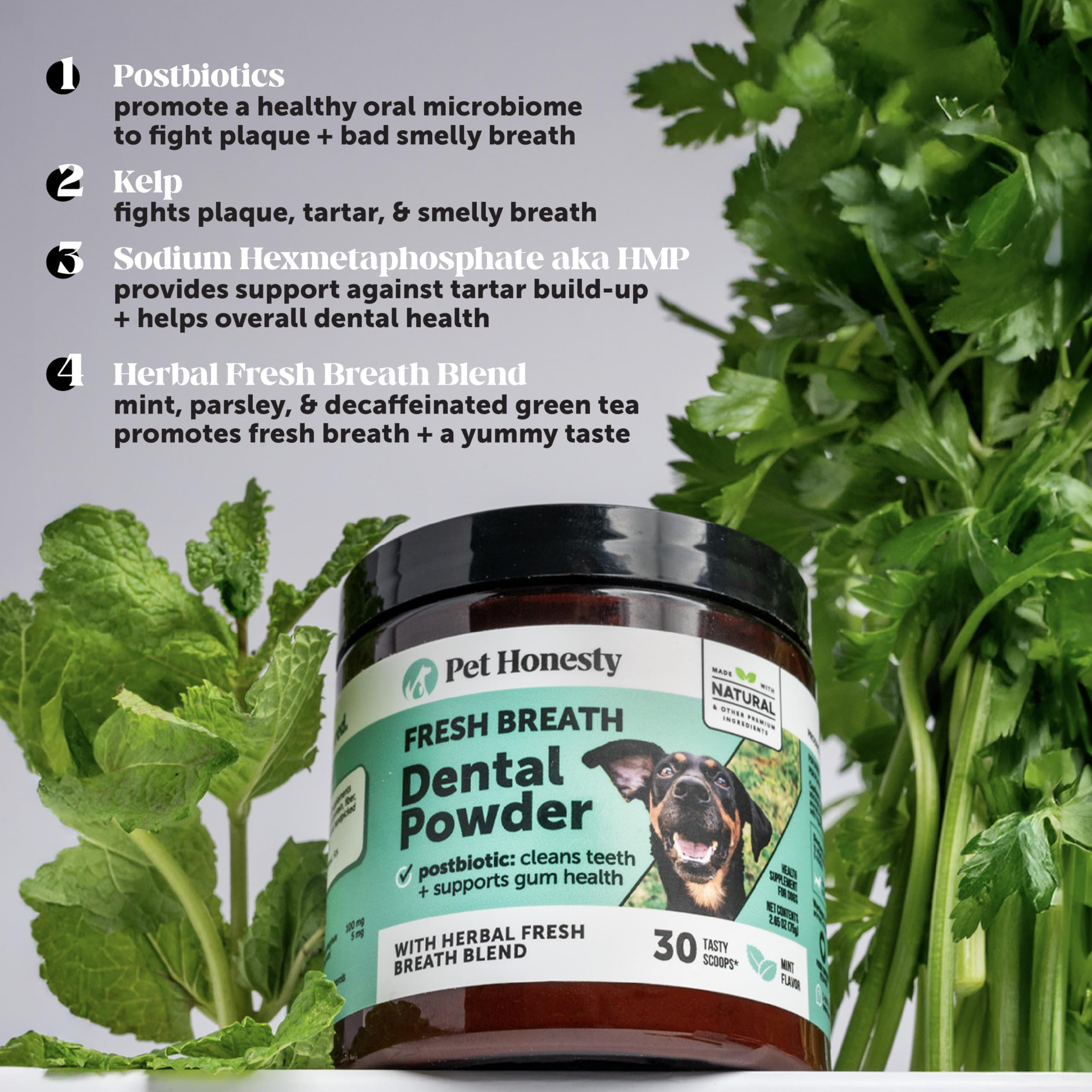 Dog Breath Freshener Dental Powder for Teeth Cleaning Plaque Off, Dental Care for Dogs, Tartar Remover for Teeth with Natural Herbal Blend + Postbiotics (Mint - 30 Servings) Pet Honesty Au supplements