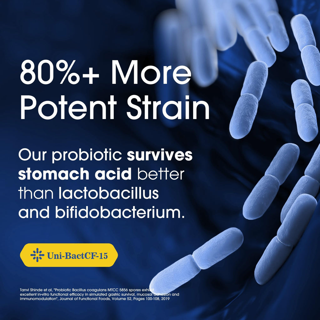 Nutrition Essentials Probiotics for Women and Men - with Lactase Enzyme and Prebiotic Fiber for Digestive Health - 80 Percent + More Potent Supplement