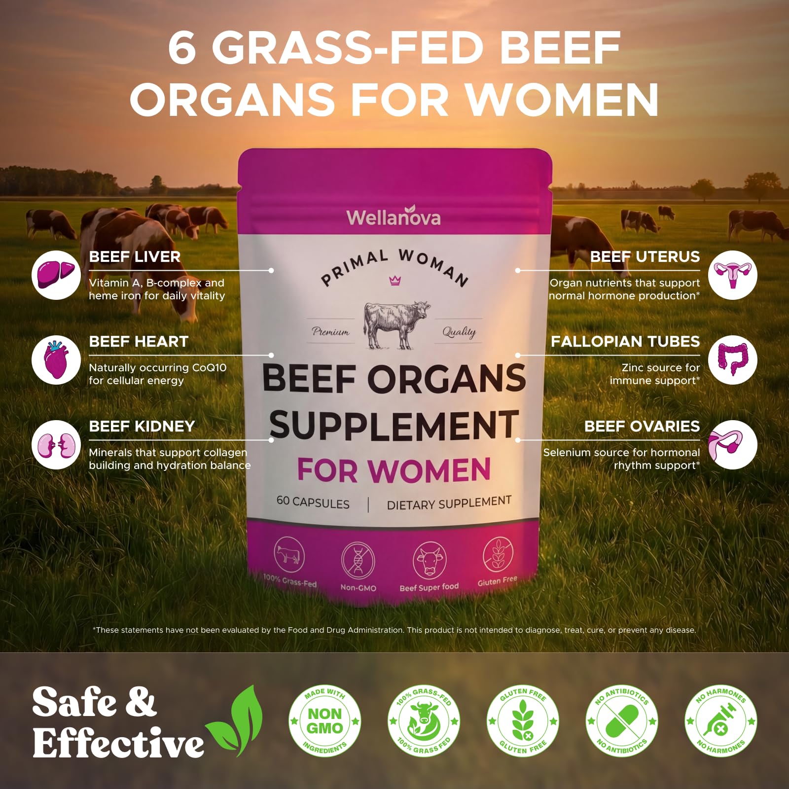 Primal Beef Organ Supplement for Women, Grass-Fed Ancestral Superfood Supplement with Uterus & Liver for Hormone Balance & Queen Energy - 60 Day Supply Wellanova Au supplements