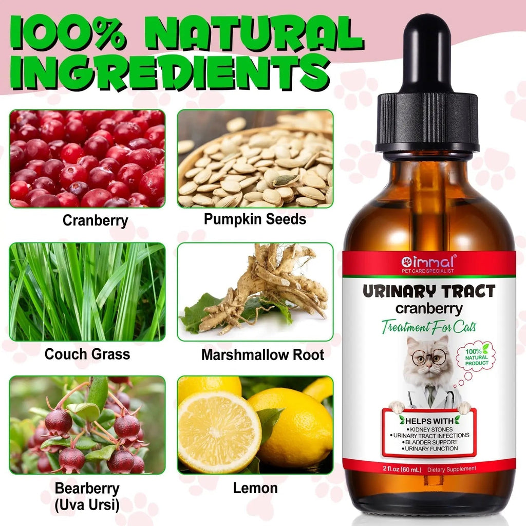 Cat Urinary Tract Infection Treatment, Cat UTI Treatment Drops Supports Bladder, Kidney Stone, Cranberry Kidney Bladder Support Supplement, Chicken Flavor, 60ml BTQAFVZT Au supplements