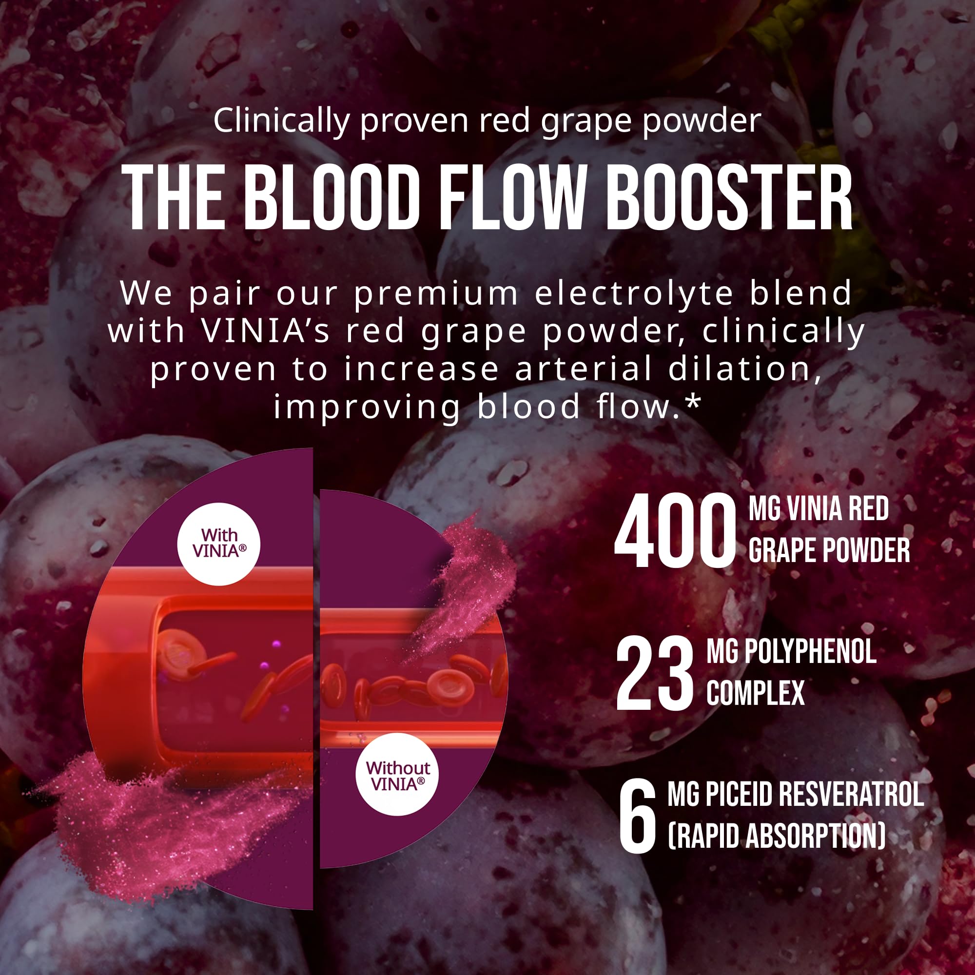 VINIA Resveratrol Electrolyte Hydration Powder Mix | Boost Blood Flow & Circulation | Sea Salt, Coconut Water Potassium