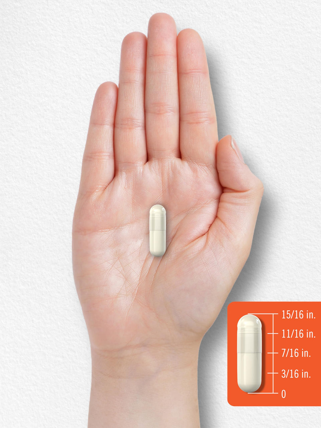 Carlyle Probiotic with Prebiotics & Postbiotics | 25 Billion CFU | 60 Capsules | Supplement for Women & Men | Powder Pills