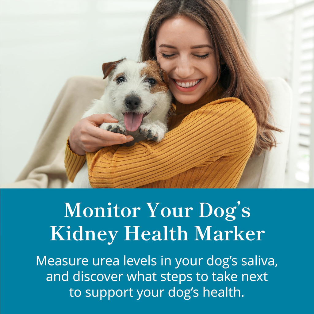 Petivity At-Home Kidney Health Test Kit for Dogs — Quick Saliva Urea Test (2-Minute Home Check), Powered by Purina — Help Detect Early Kidney Changes - (Pack of 3) petivity Au supplements