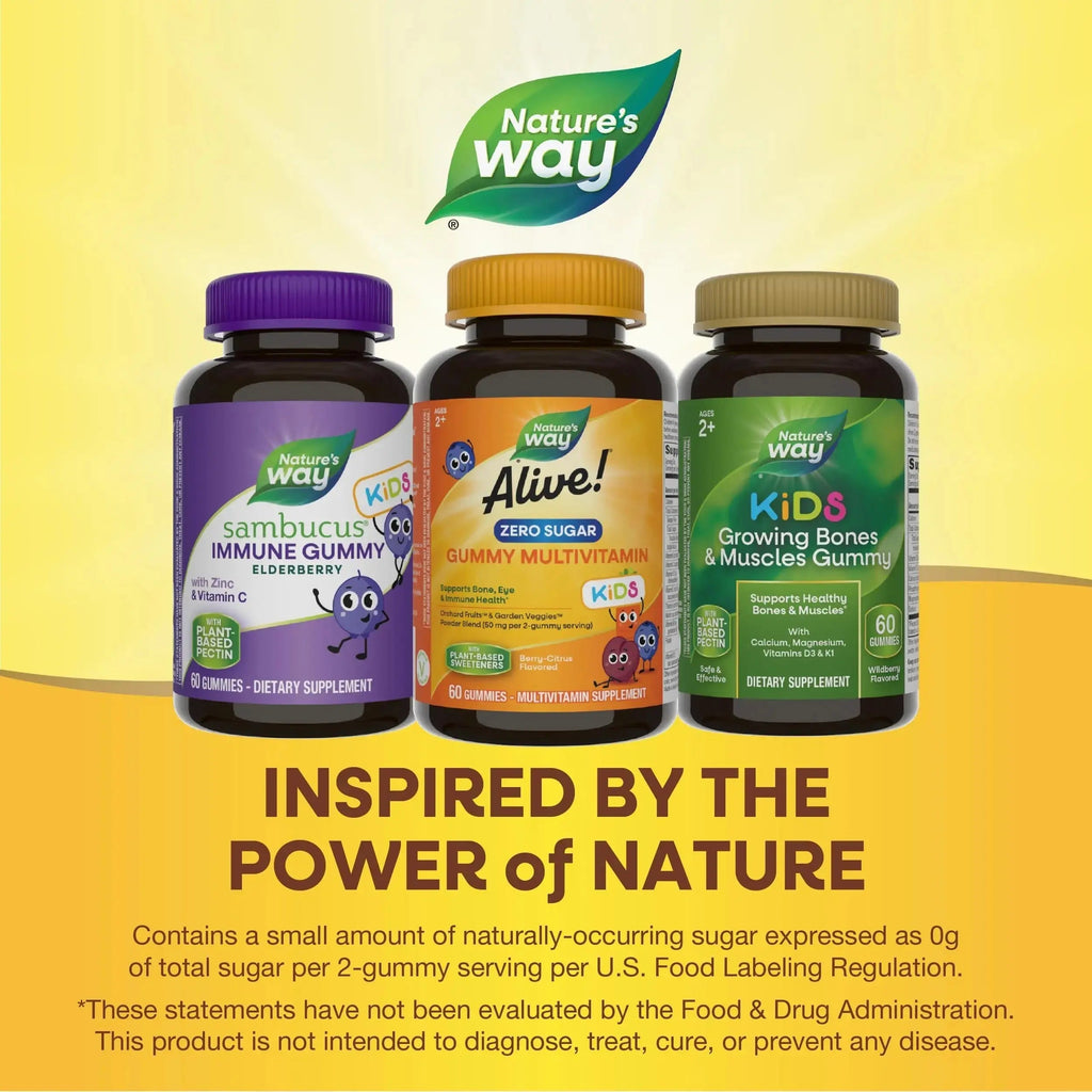 Nature’s Way Alive! Kids Zero Sugar Gummy Multivitamins, for Kids Ages 2+, Supports Bone, Eye & Immune Health Nature's Way Au supplements