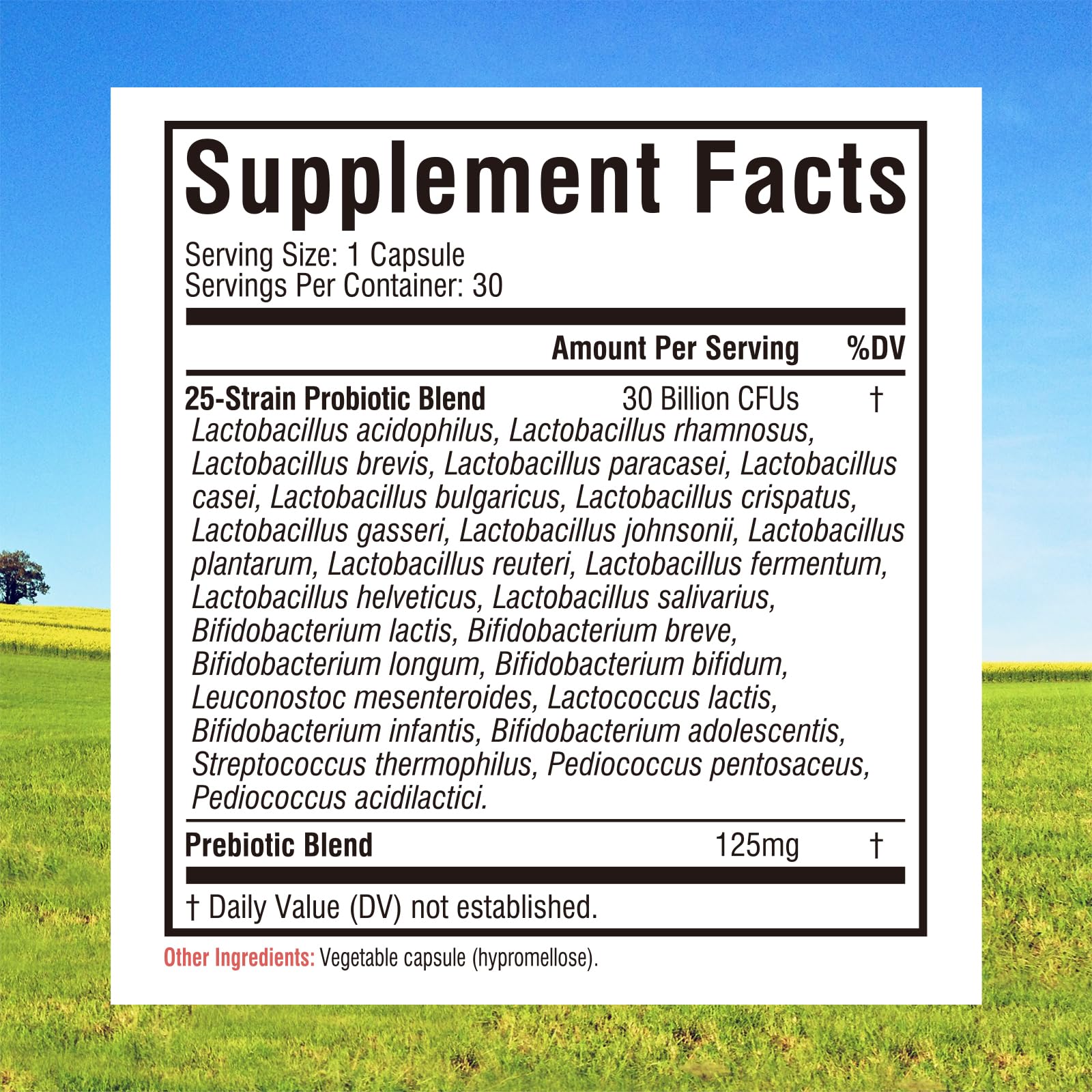 Innate Vitality Daily Probiotics for Women & Men, 30 Billion CFU of 25 Strains, Prebiotics, for Digestive Health Diarrhea Constipation Bloating & Gas Relief, Delayed Release, No Gluten, Vegan, 30 Caps Innate Vitality Au supplements
