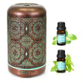Essential Oil Diffuser, Upgraded Metal Diffusers with Lavender Lemon Essential Oils, 250ml BAIESHIJI Au supplements