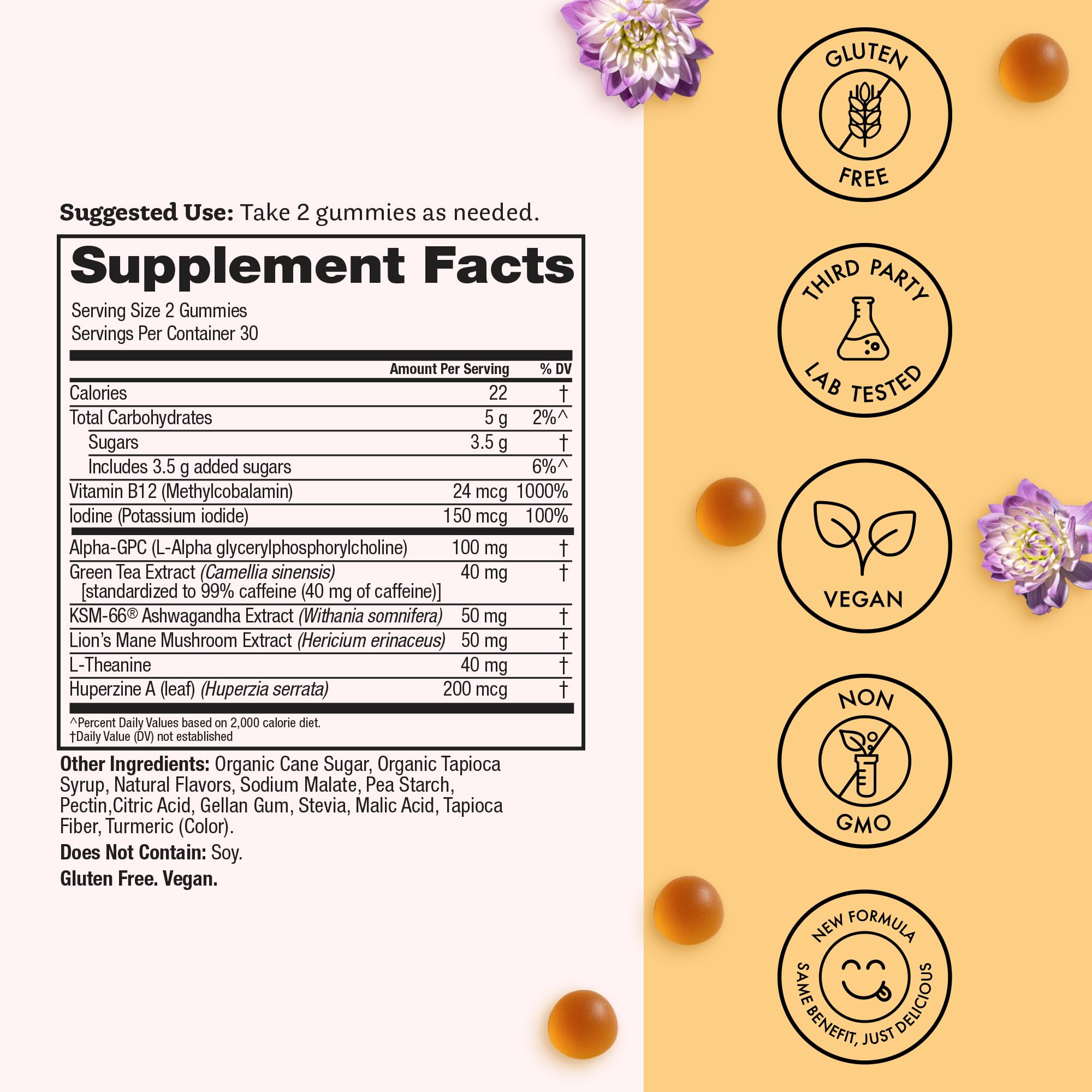 Winged Wellness Rise Up, Energy & Focus Gummies for Women - Daily Brain Boost Gummy Supplement with Natural Caffeine, Ashwagandha, B12, Nootropics Alpha-GPC & Lion’s Mane - Pineapple, 60 Gummies Winged Wellness Au supplements