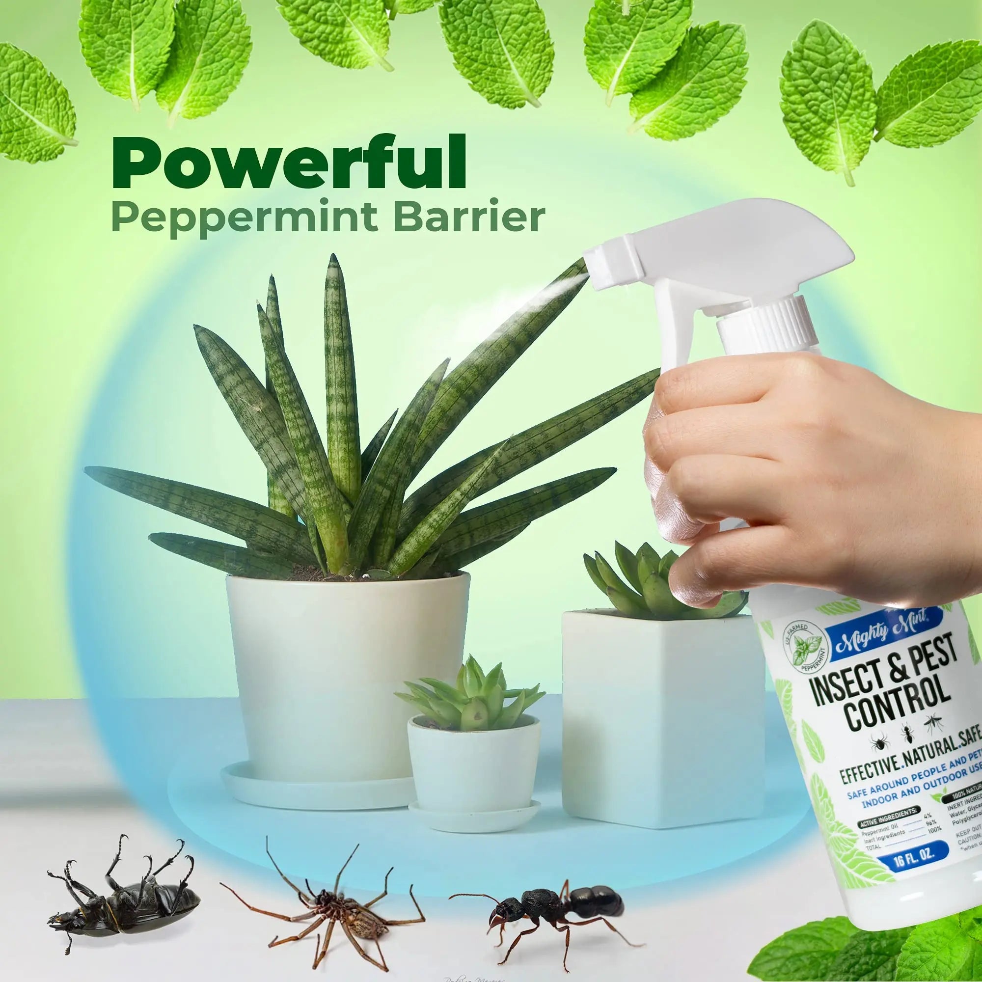 Mighty Mint 16 oz Peppermint Oil Insect & Pest Spray - for Spiders, Ants Mighty Mint Au supplements