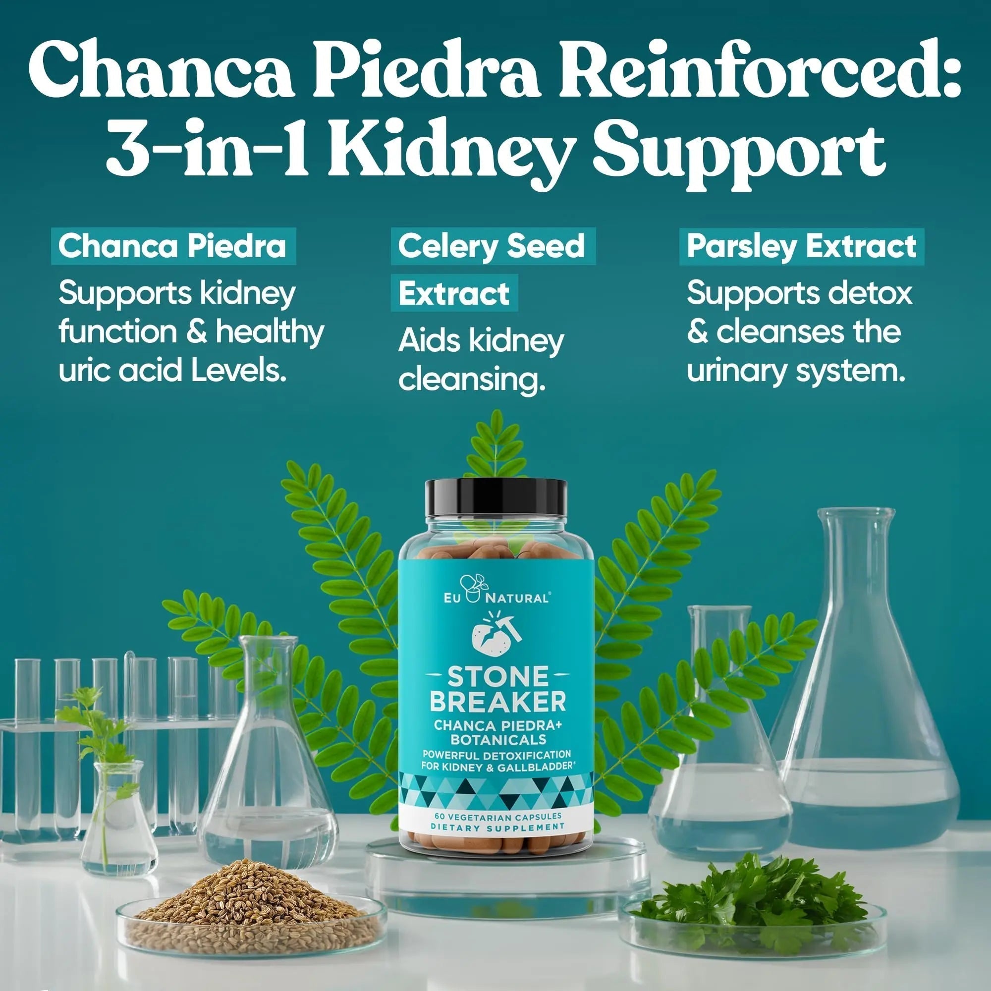 Chanca Piedra Stone Breaker - The Original Stone Breaking Formula with Celery Seed & Parsley - Supports Kidney, Gallbladder & Urinary Tract Cleansing to Help Flush Impurities - 60 Vegetarian Capsules Eu Natural Au supplements