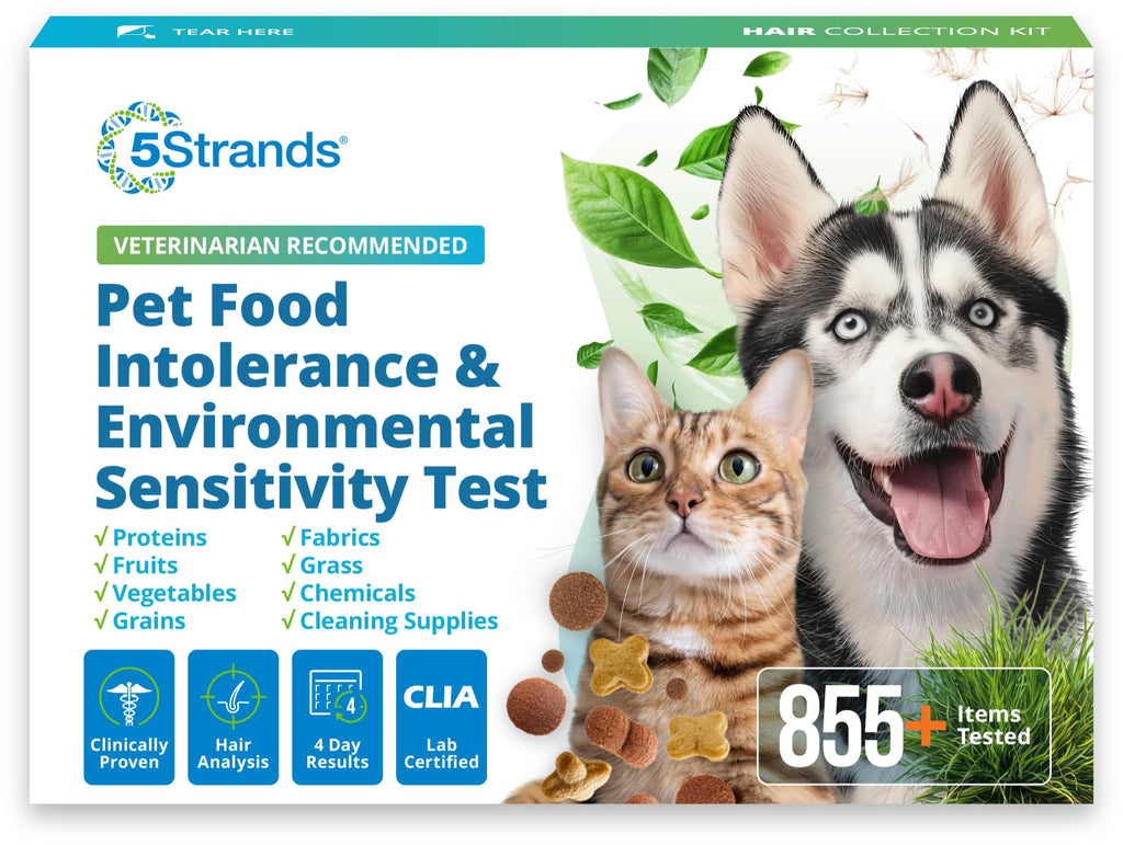5Strands Pet Food Intolerance & Environmental Sensitivity Test, at Home Gut Health Test for Dogs & Cats, 857 Items Tested, Pet Health Check, Results in 4 Days, for All Ages and Breeds 5Strands Au supplements