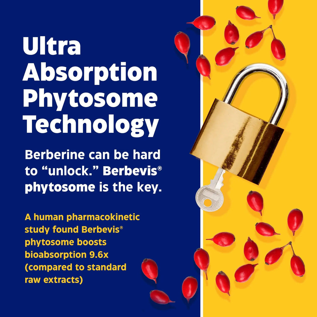 Enzymedica, Berberine Phytosome Enzymedica Au supplements