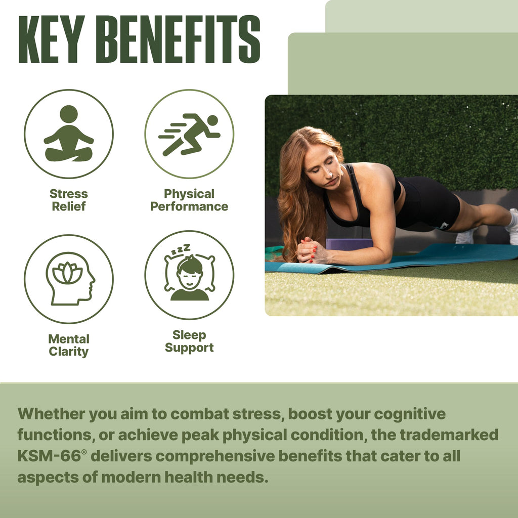 NutraBio Ashwagandha KSM-66 | Ashwagandha Herbal Supplement for Stress, Mood, & Performance | 600 MG of Clinically Studied KSM66 60 Capsules NutraBio Au supplements