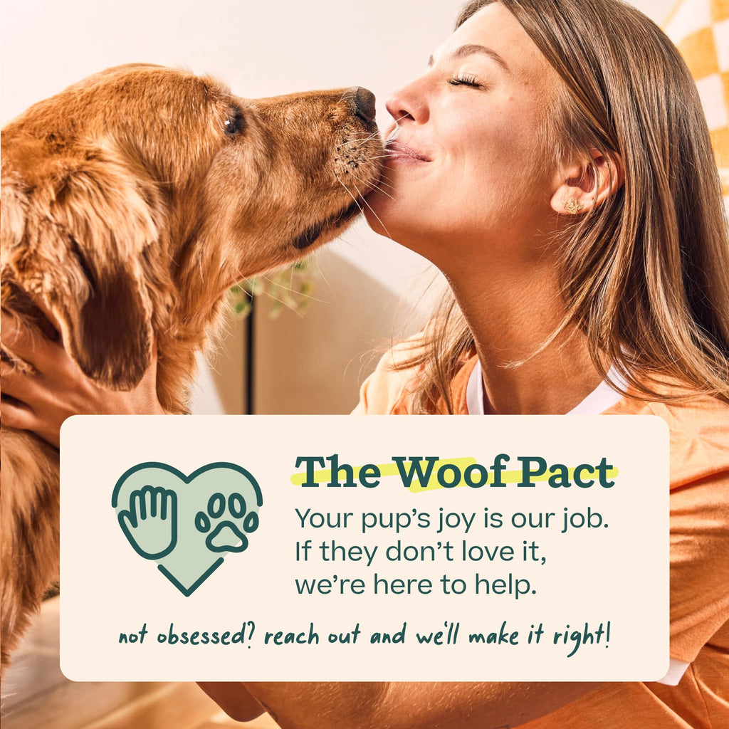 Woof Doggy Dental Pupsicle Mix - Dog Teeth Cleaning Powder for The Pupsicle - Long Lasting Postbiotic Dental Enzyme Mix to Support Oral Health for Dogs WOOF Au supplements