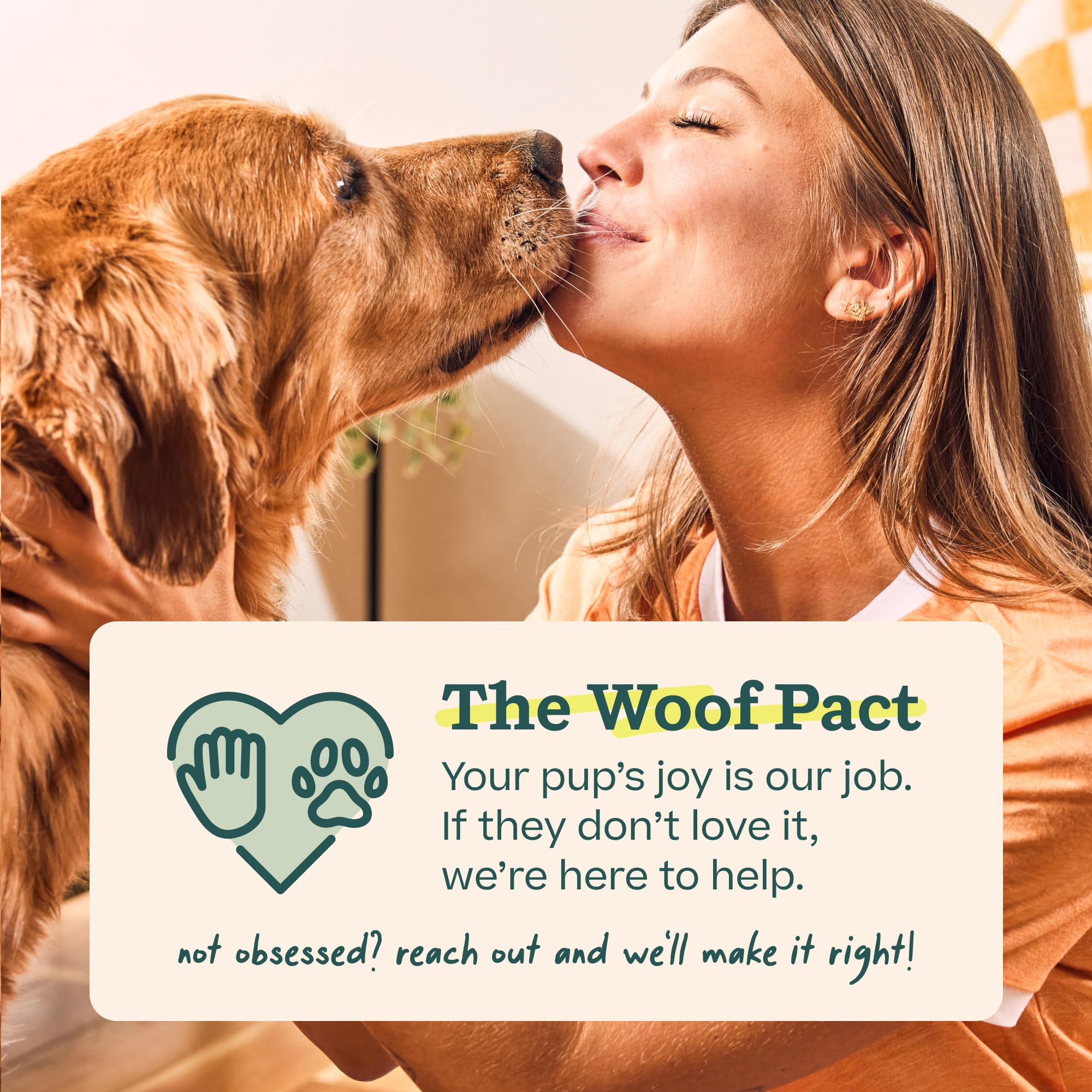 Woof Doggy Dental Pupsicle Mix - Dog Teeth Cleaning Powder for The Pupsicle - Long Lasting Postbiotic Dental Enzyme Mix to Support Oral Health for Dogs WOOF Au supplements