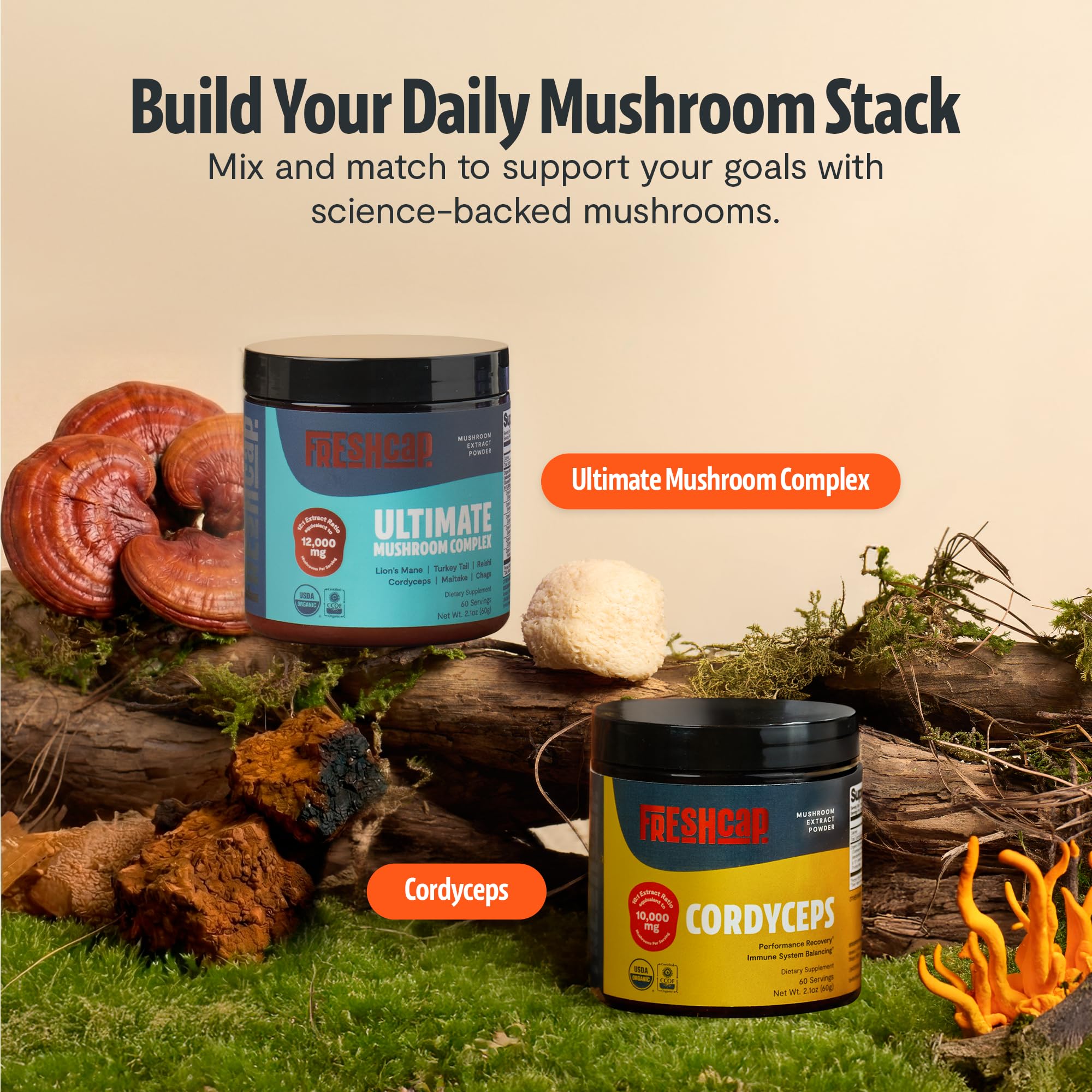 FreshCap Mushrooms Ultimate Mushroom Supplement Powder 12,000mg - Nootropic Organic Mushroom Complex for Focus & Memory, Brain Support Supplement, Ayurveda Mushroom Powder Extract (60 Servings) FreshCap Mushrooms Au supplements