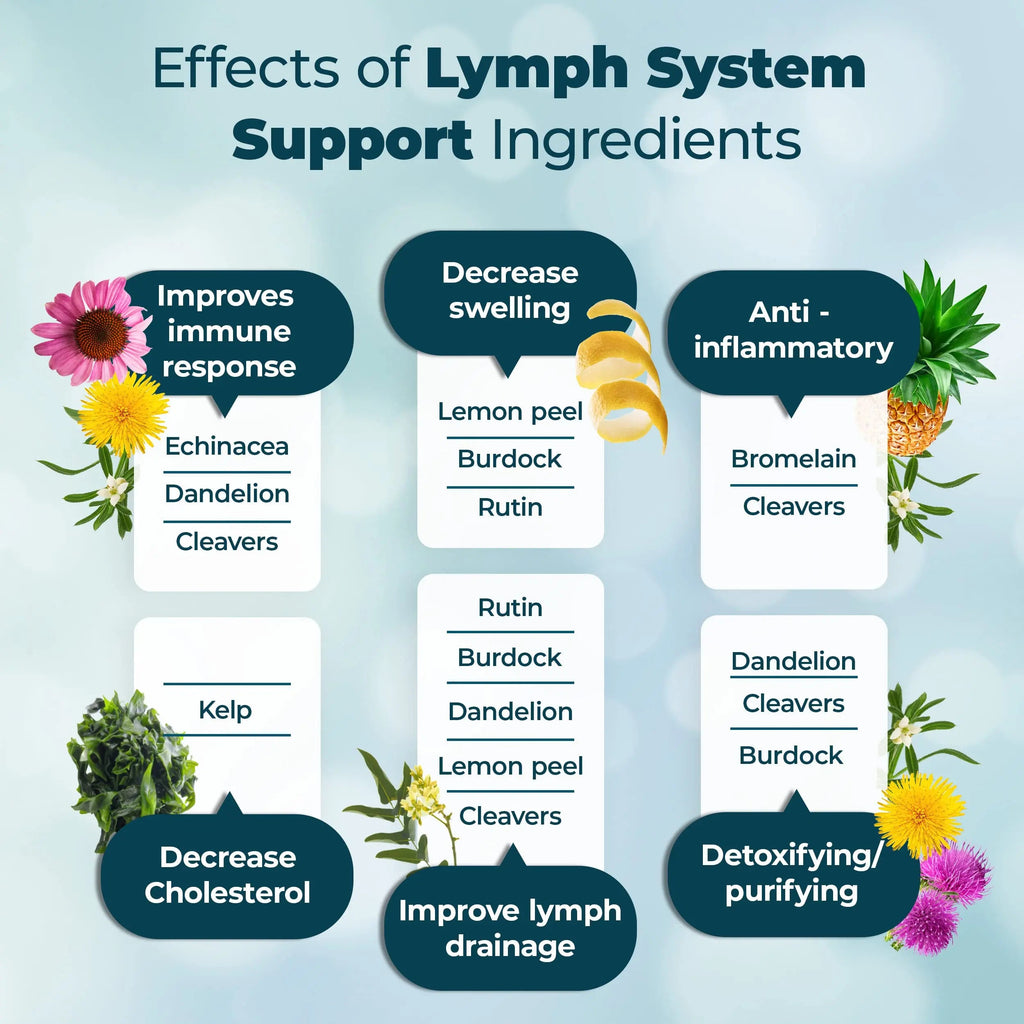 PUREHEALTH RESEARCH Lymph System Support Supplement - Lymphatic Drainage Supplement PUREHEALTH RESEARCH Au supplements