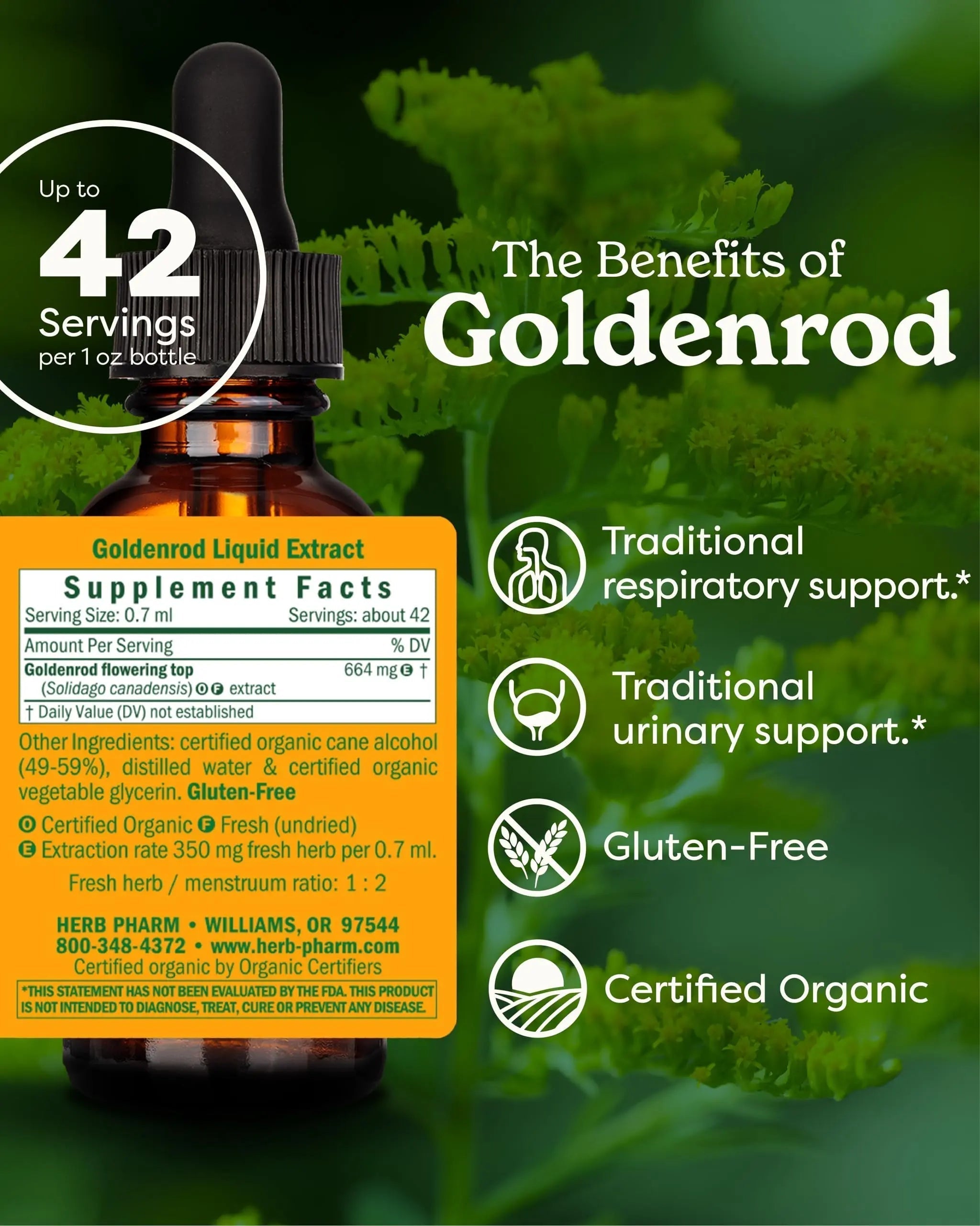 Herb Pharm Certified Organic Goldenrod Liquid Extract for Urinary System Support, 1 Fl Oz (Pack of 1) Herb Pharm Au supplements