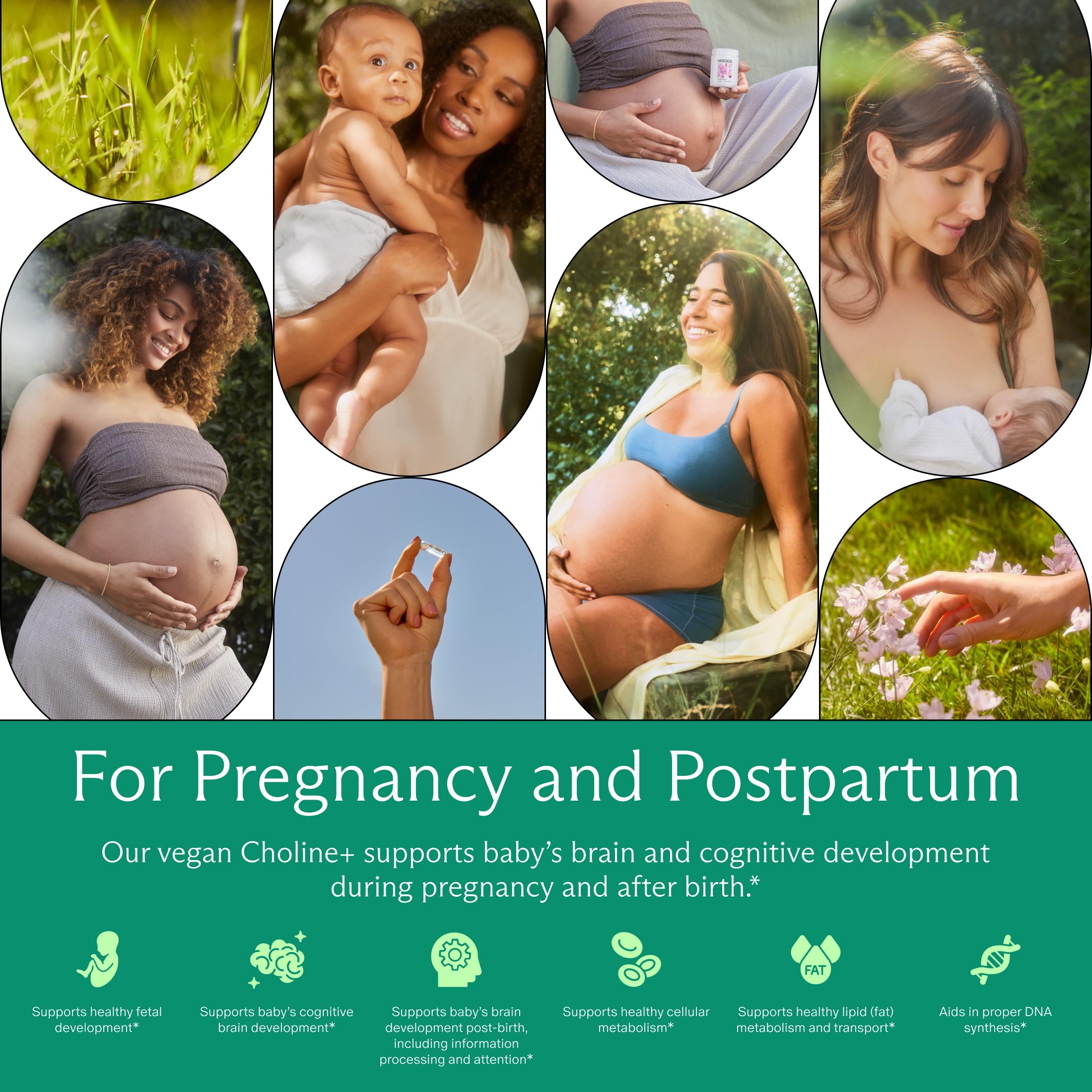 Needed. Prenatal Choline+ Liquid Capsules for Cognitive Development - Choline Supplements For Pregnancy - Aids Baby Brain Development & Supports Healthy Pregnancy