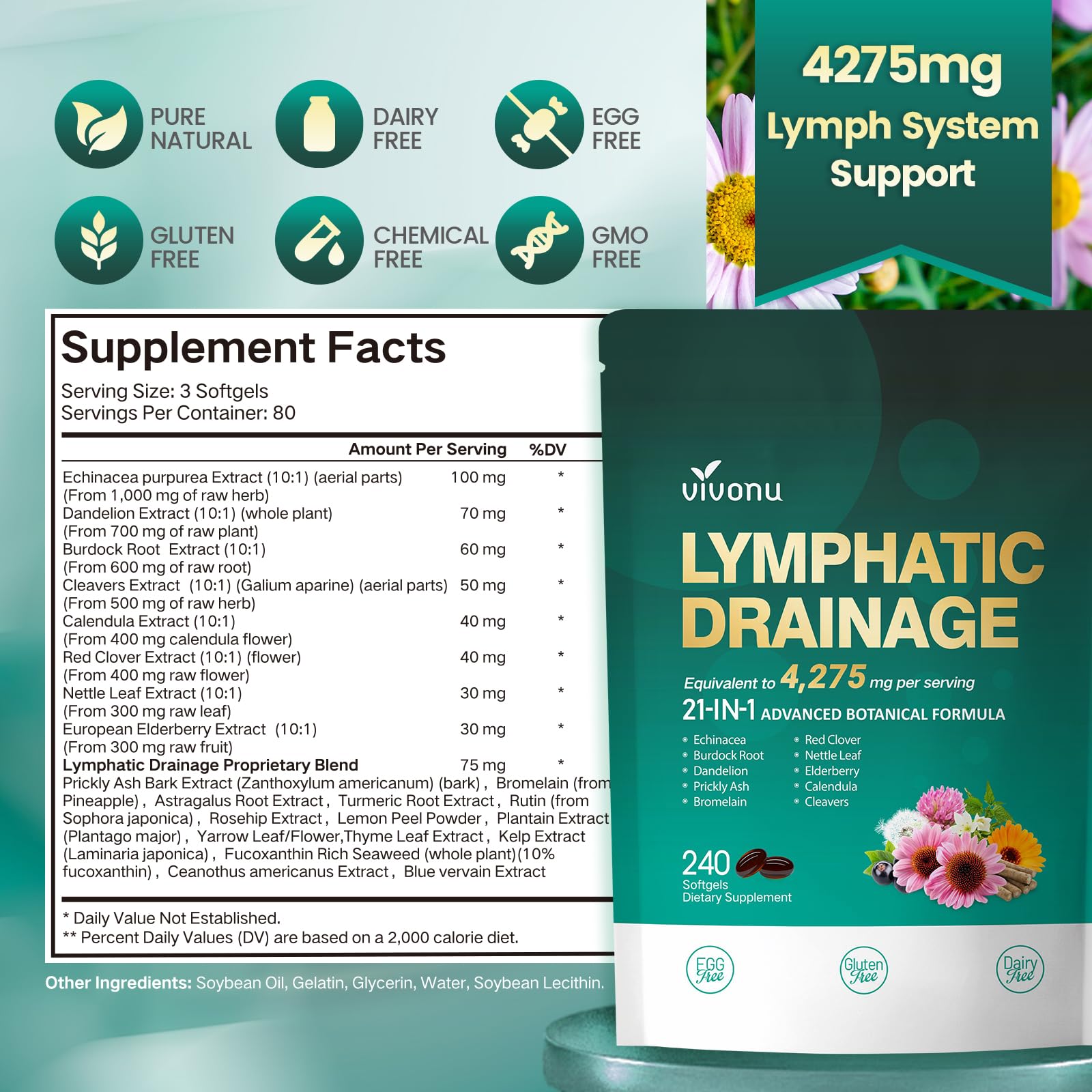 Lymphatic Drainage Supplements, 240 Softgels, Lymph System Support Supplement for Women & Men, 21-in-1 Herbal Blend with Echinacea, Dandelion, Burdock