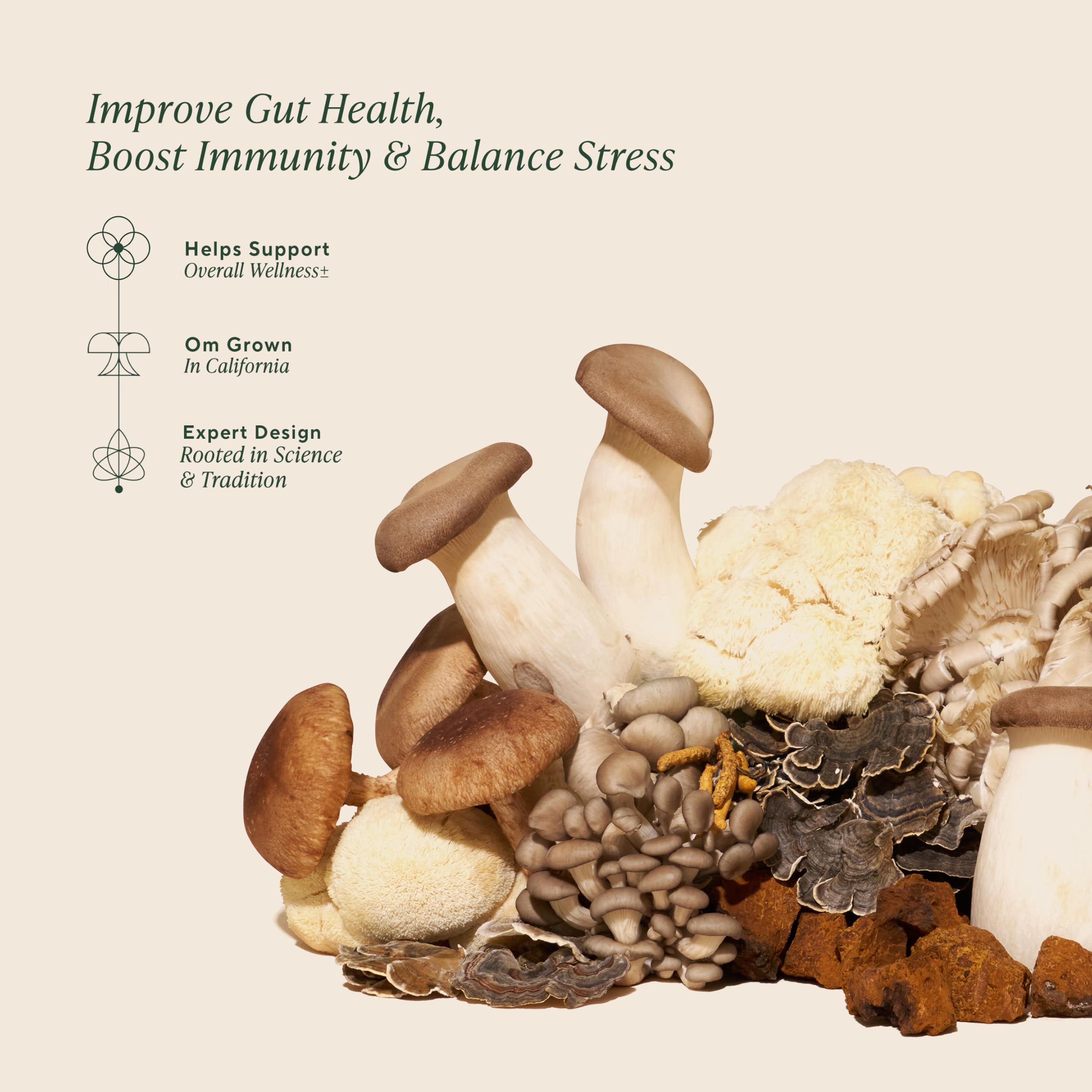 Om Master Blend Mushroom Powder – Organic Mushroom Supplement with 10 Mushrooms and Ashwagandha - Support Immunity, Gut Health & Stress Relief,