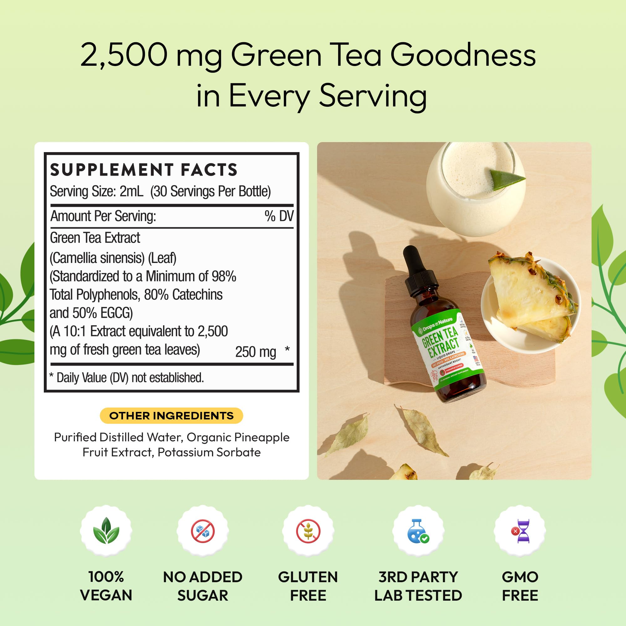 Green Tea 10:1 Extract 50% EGCG - Green Tea Liquid Drops - Vegan, 4X More Powerful Than Pills & Capsules - 2oz Antioxidant & Immune Supplement