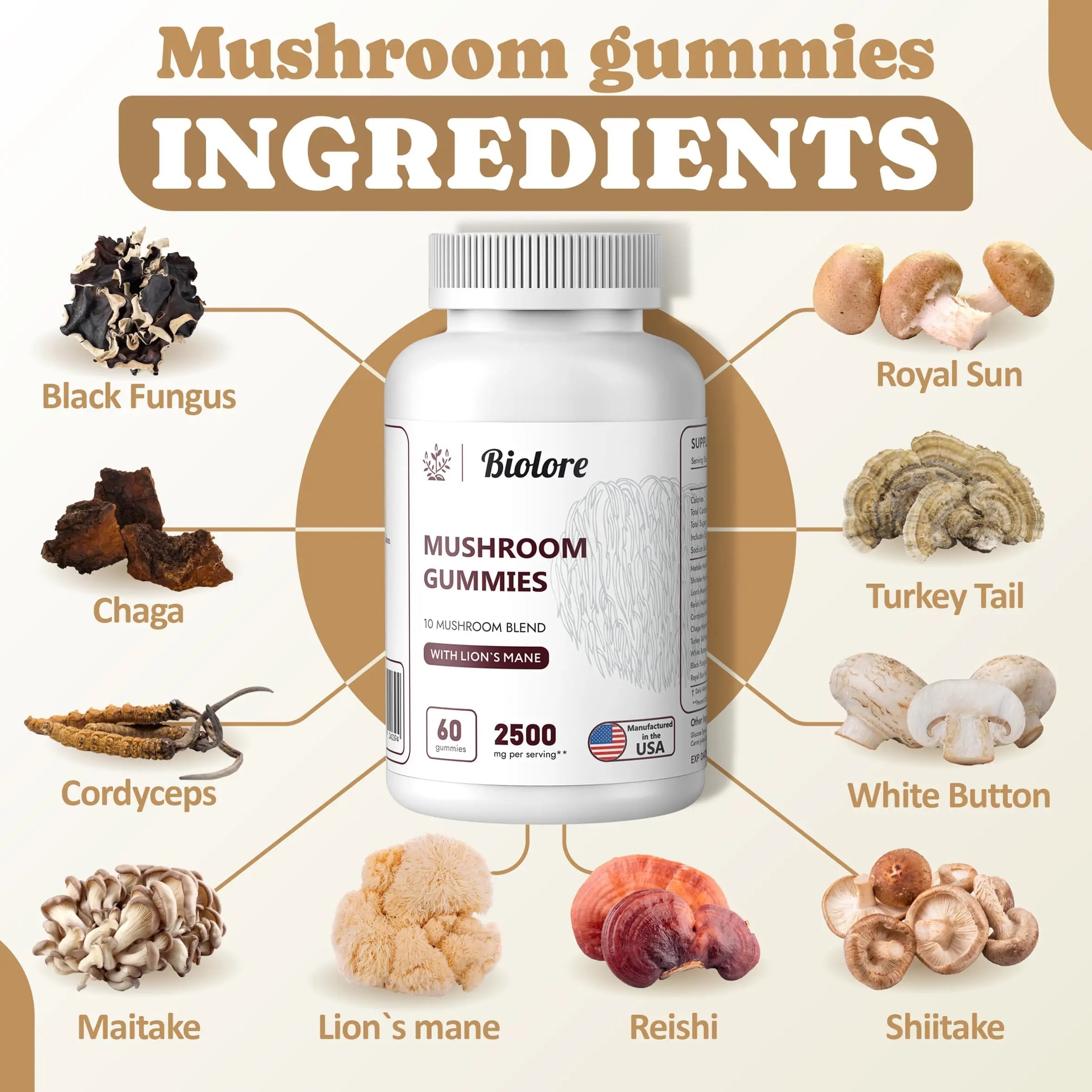 Biolore Mushroom Complex Gummies: 10 Powerful Mushrooms with Chaga, Lions Mane Biolore Au supplements