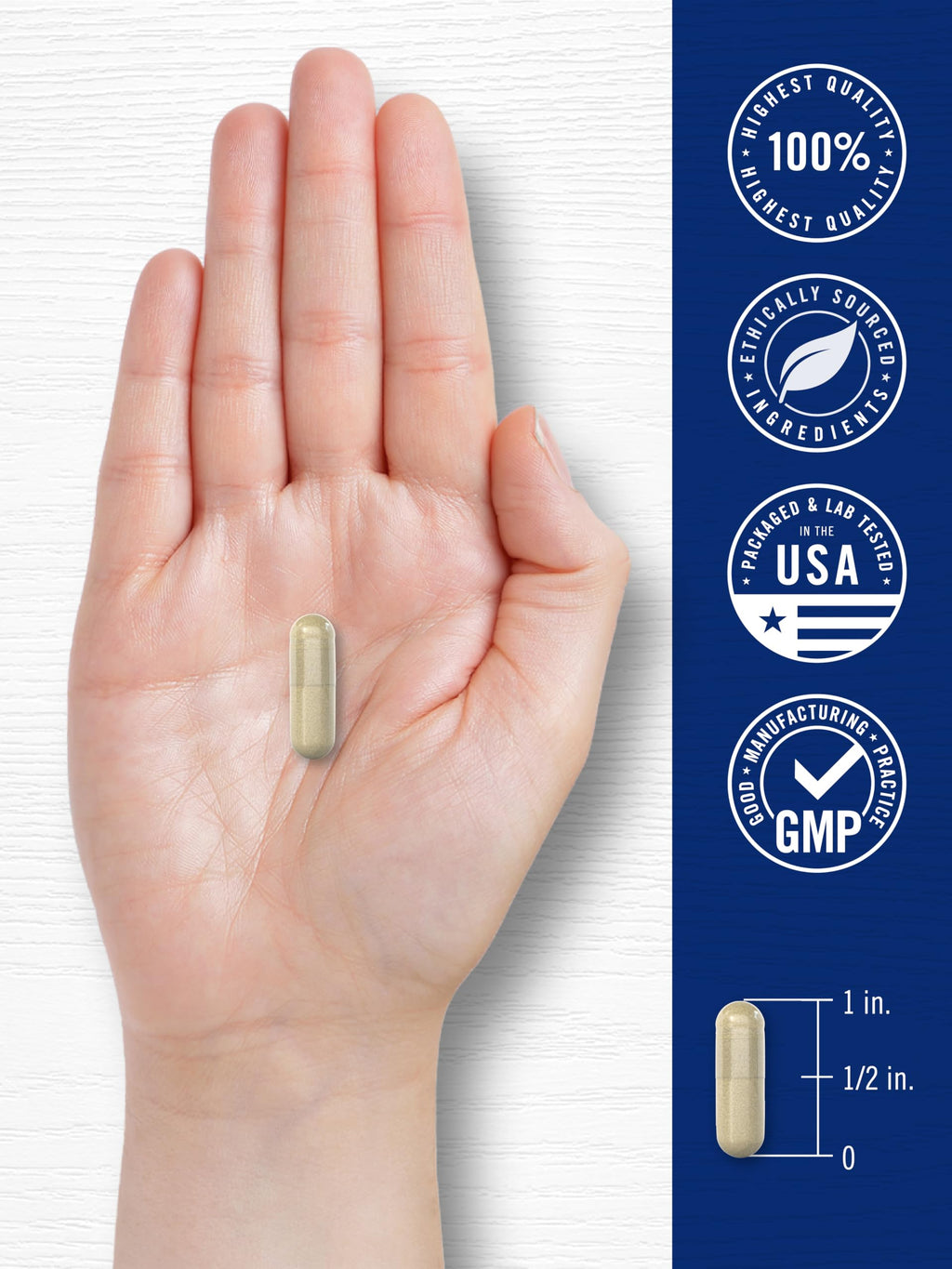 Carlyle Cortisol Supplement | 60 Vegan Capsules | Ashwagandha & Magnesium Complex | Non-GMO, Gluten Free Carlyle Au supplements