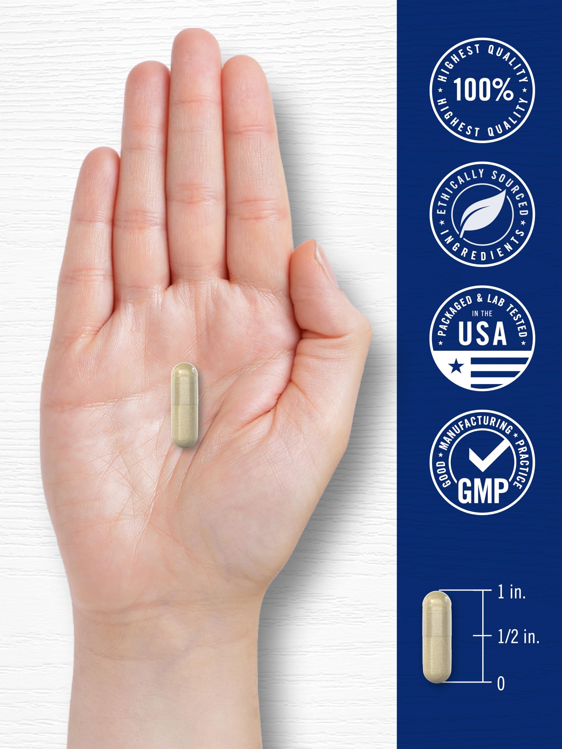 Carlyle Cortisol Supplement | 60 Vegan Capsules | Ashwagandha & Magnesium Complex | Non-GMO, Gluten Free Carlyle Au supplements