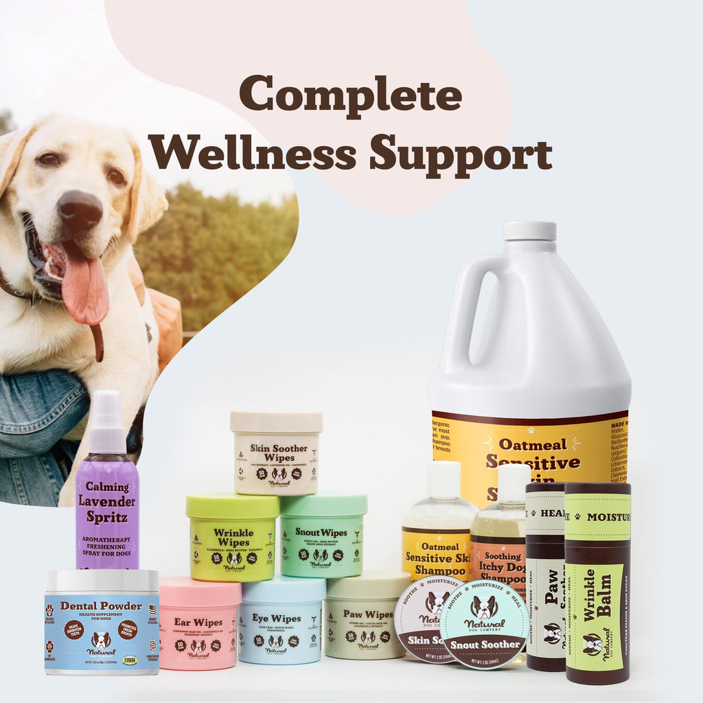 Natural Dog Company Dental Powder for Dogs – Freshens Breath & Helps Reduce Plaque & Tartar, Natural No-Brushing Canine Oral Health Postbiotic Supplement, Vet Formulated, Made in USA, 30-Day Supply Natural Dog Company Au supplements