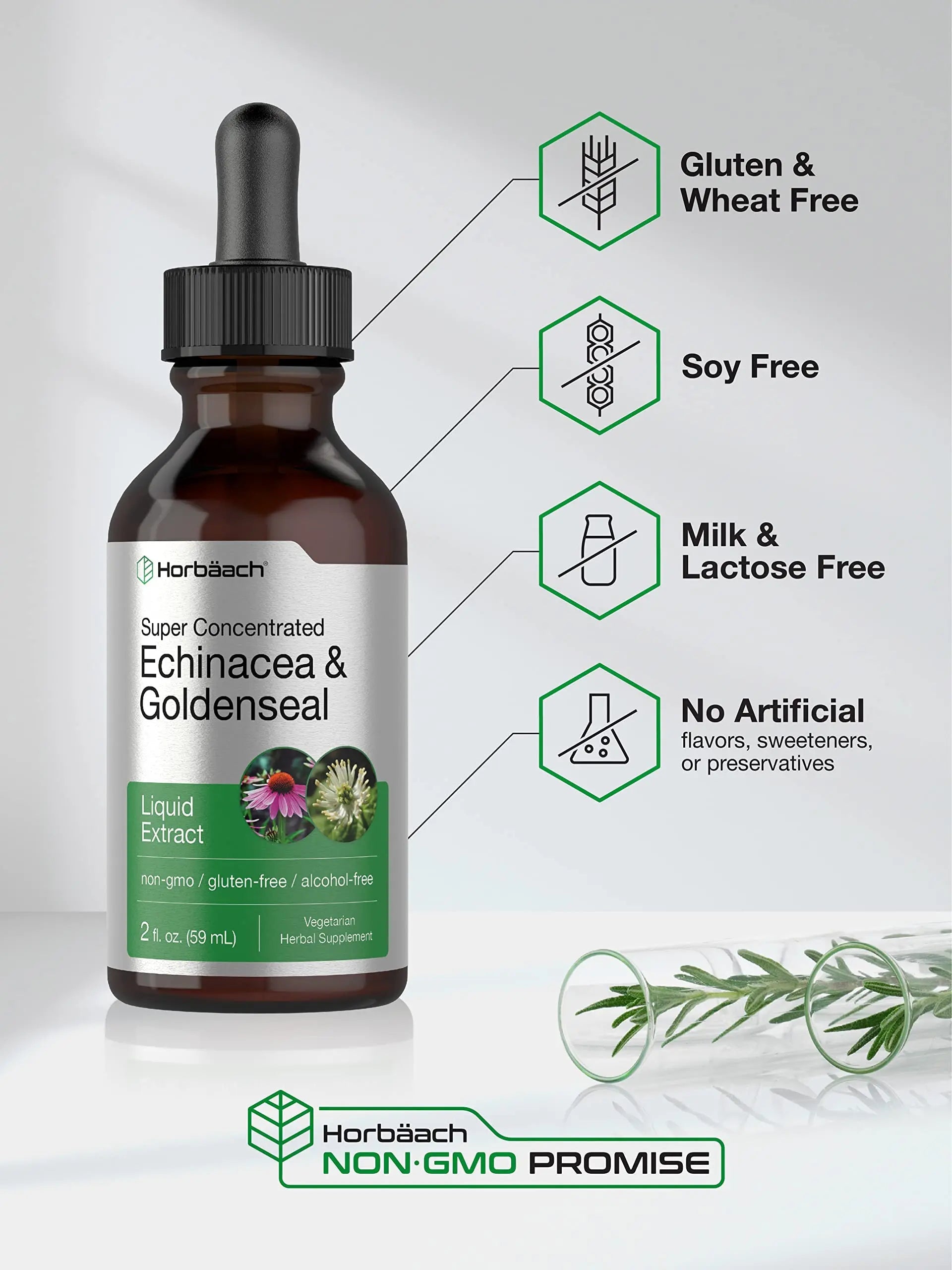 Echinacea Goldenseal Liquid Extract | 2 fl oz | Alcohol Free Tincture Drops | Vegetarian Horbäach Au supplements