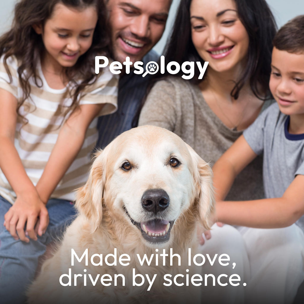 Probiotics for Dogs - 170 Dog Probiotics Chews - Digestive Enzymes & Prebiotics - Support Gut Health, Diarrhea, Gas & Constipation Relief - Itchy Skin, Allergies, Yeast Balance - Advanced Supplement Petsology Au supplements