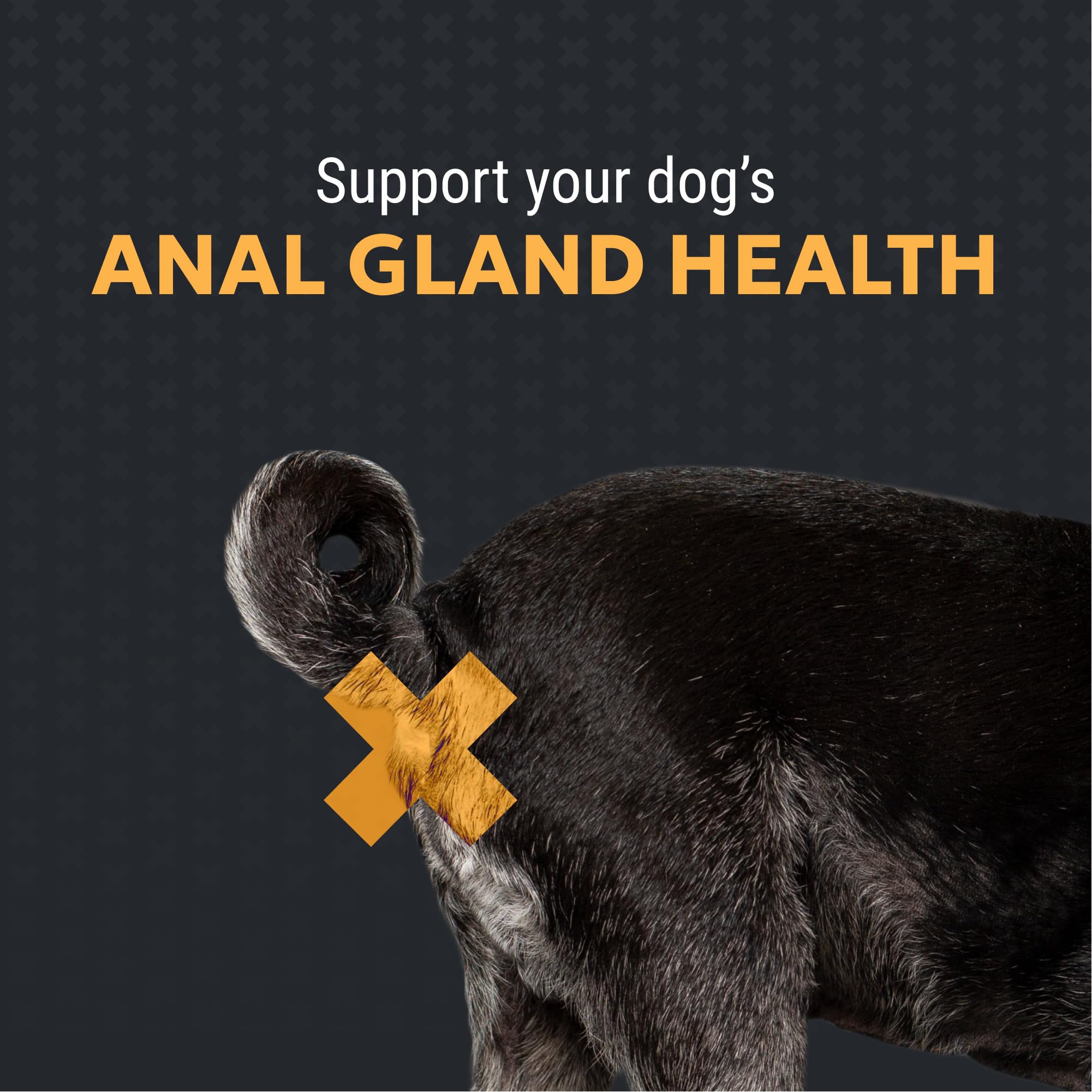 Nutramax Filaquin Anal Gland Supplement for Dogs, from The Same Company as Cosequin & Proviable, with Pre & Postbiotics and Psyllium Husk Fiber to Support Anal Gland Health, 90 Count Soft Chews Nutramax Laboratories Au supplements