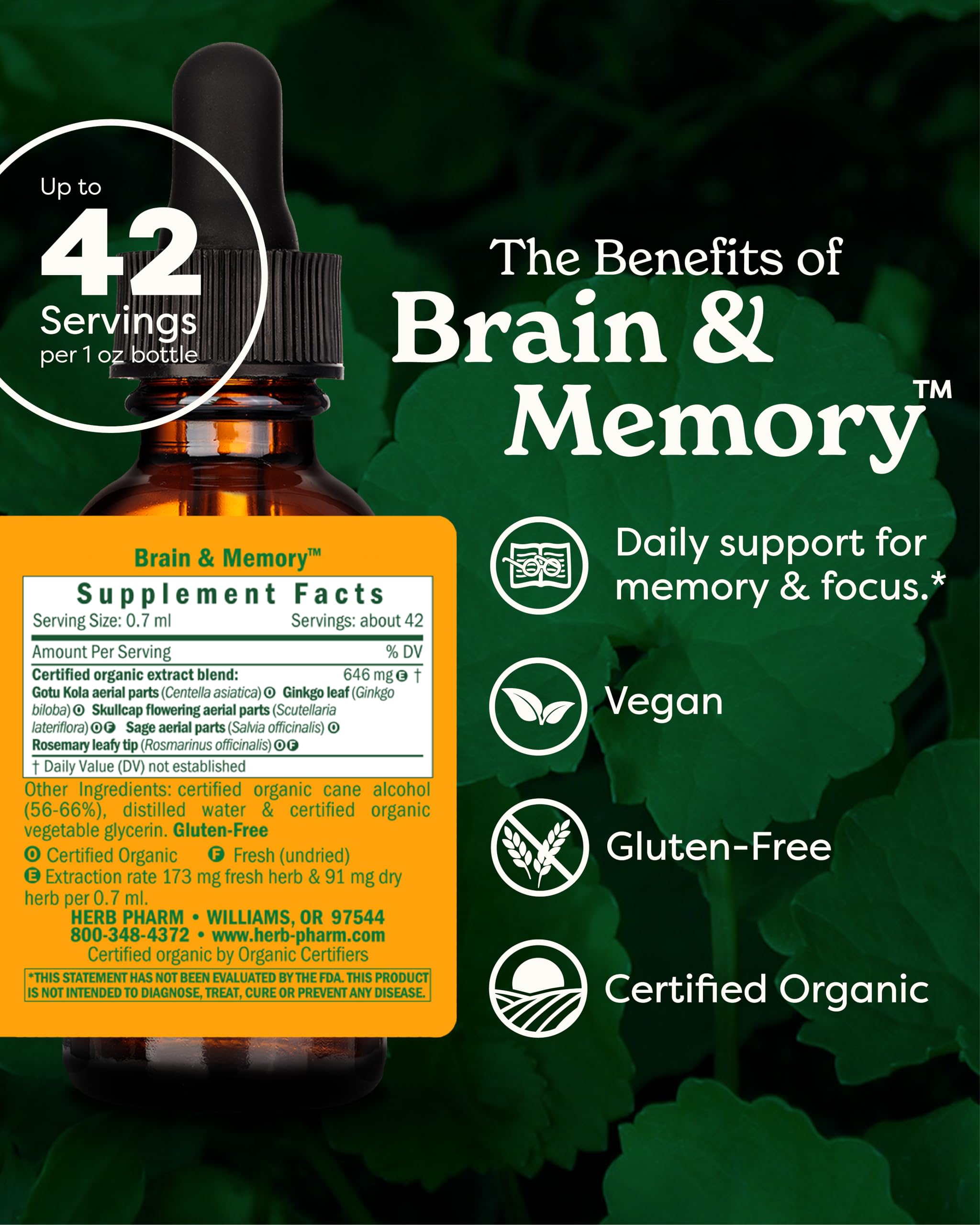 Herb Pharm Organic Nootropic Brain & Memory Supplement with Ginkgo Biloba Liquid Extract: Fast Absorption for Mental Focus Support, Ginkgo Supplement, Vegan, Gluten-Free, Non-GMO, 1 Oz Herb Pharm Au supplements