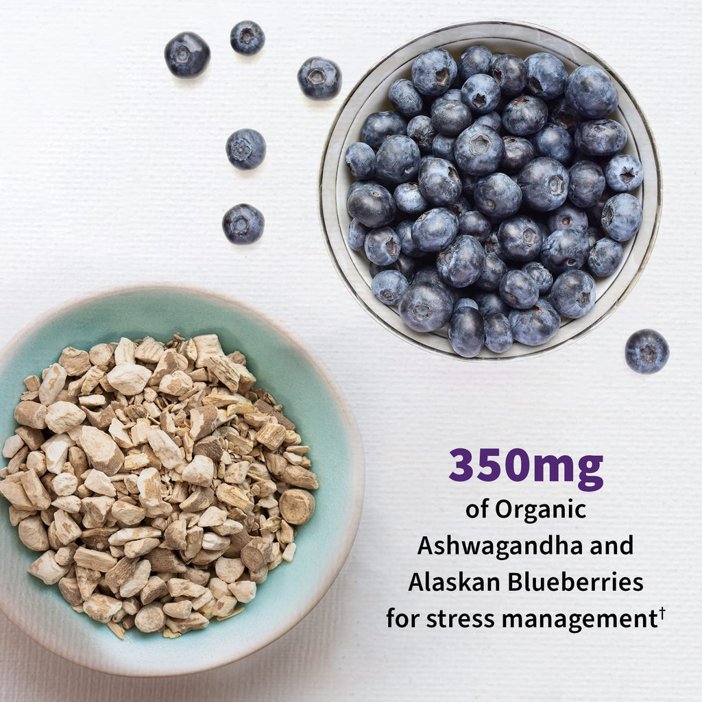 Garden of Life Probiotics Mood+ Dr Formulated Acidophilus Probiotic Supplement - Promotes Emotional Well-Being, Relaxation and Digestive Balance - Ashwagandha for Stress Management, 60 Veggie Caps Garden of Life Au supplements