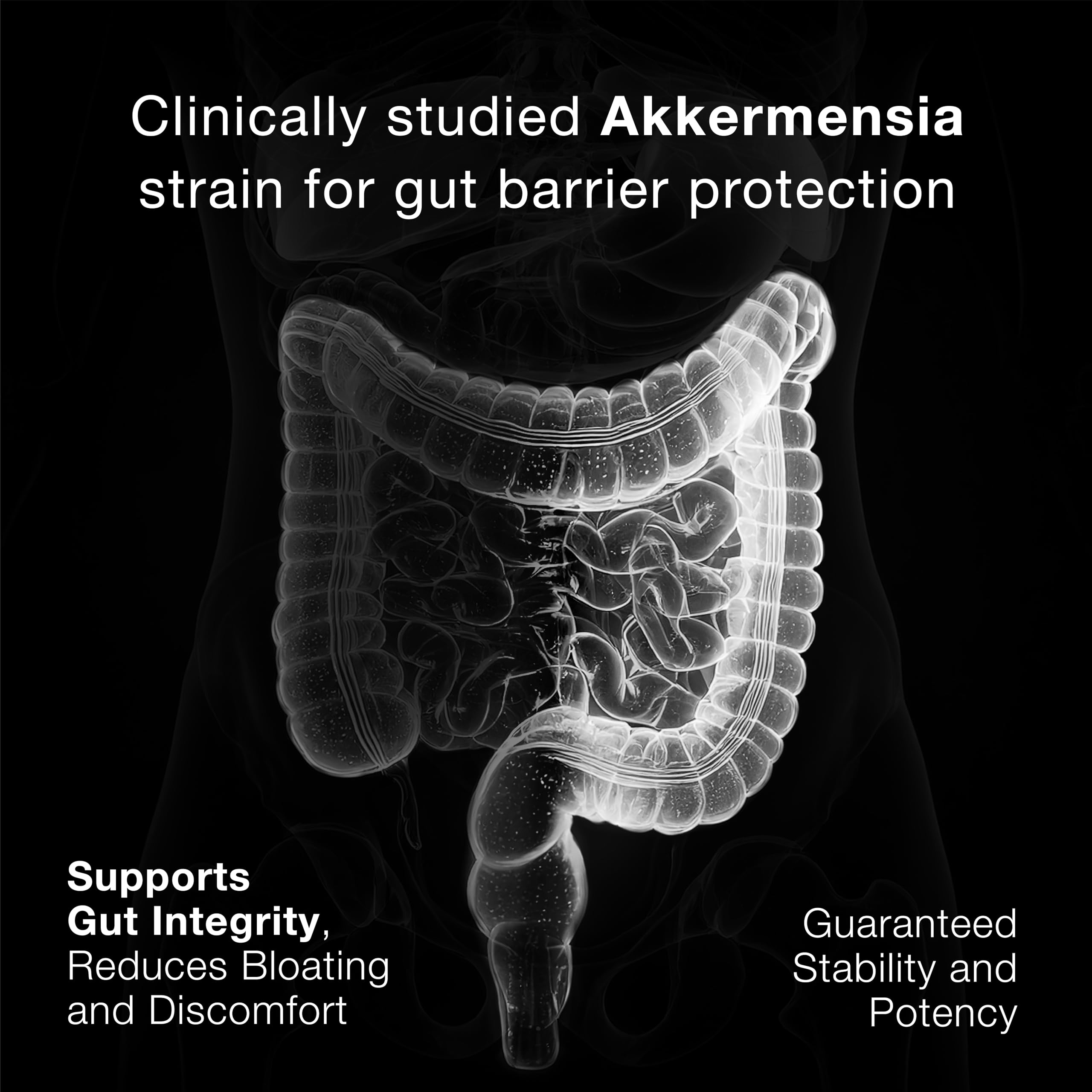 Toniiq Akkermansia Probiotic – 10 Billion TFU – Supports Gut Health & GLP-1 Activity Toniiq Au supplements