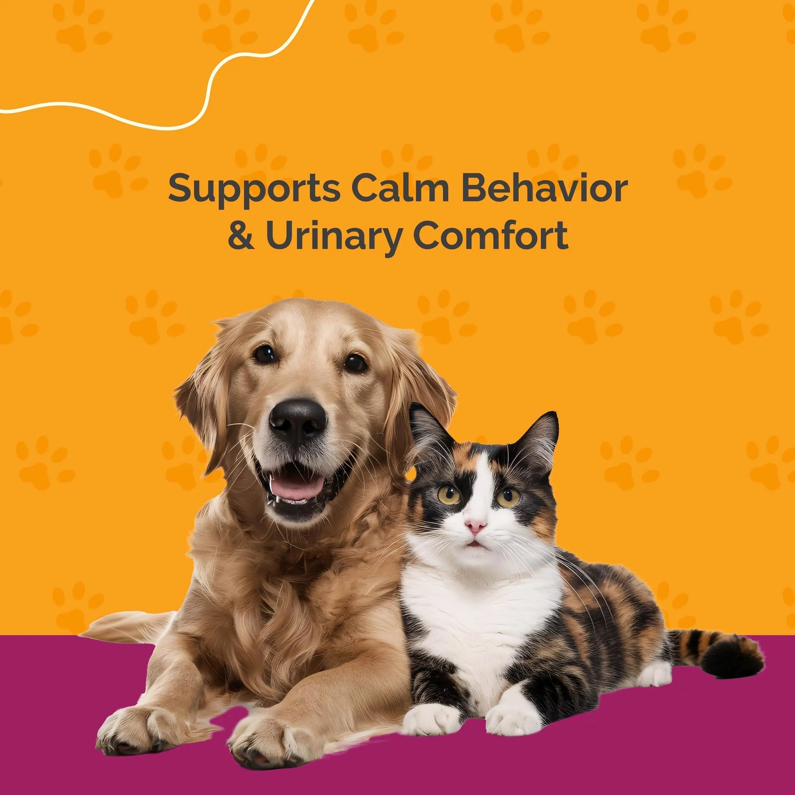 PureCat Urinary Tract Infection Care for Cat & Dog | Calming Urinary Tract & Kidney Support for Pets | Bladder Infection Treatment | UTI Drops | Veterinarian Recommended PureCat Au supplements