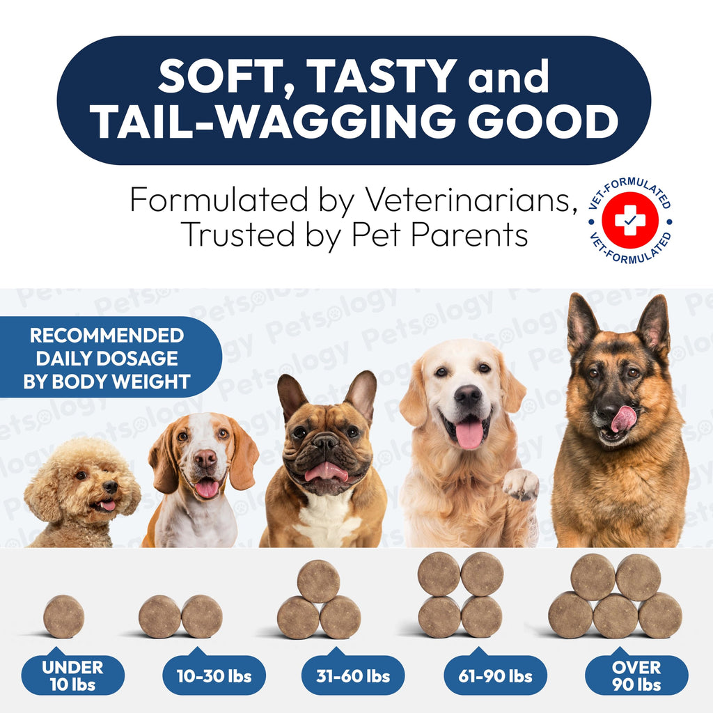 Probiotics for Dogs - 170 Dog Probiotics Chews - Digestive Enzymes & Prebiotics - Support Gut Health, Diarrhea, Gas & Constipation Relief - Itchy Skin, Allergies, Yeast Balance - Advanced Supplement Petsology Au supplements