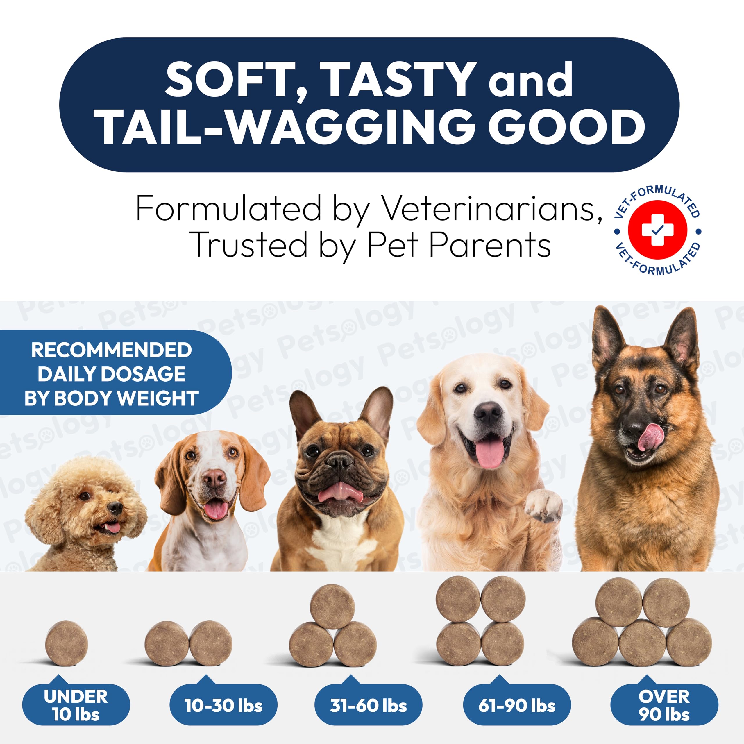 Probiotics for Dogs - 170 Dog Probiotics Chews - Digestive Enzymes & Prebiotics - Support Gut Health, Diarrhea, Gas & Constipation Relief - Itchy Skin, Allergies, Yeast Balance - Advanced Supplement Petsology Au supplements