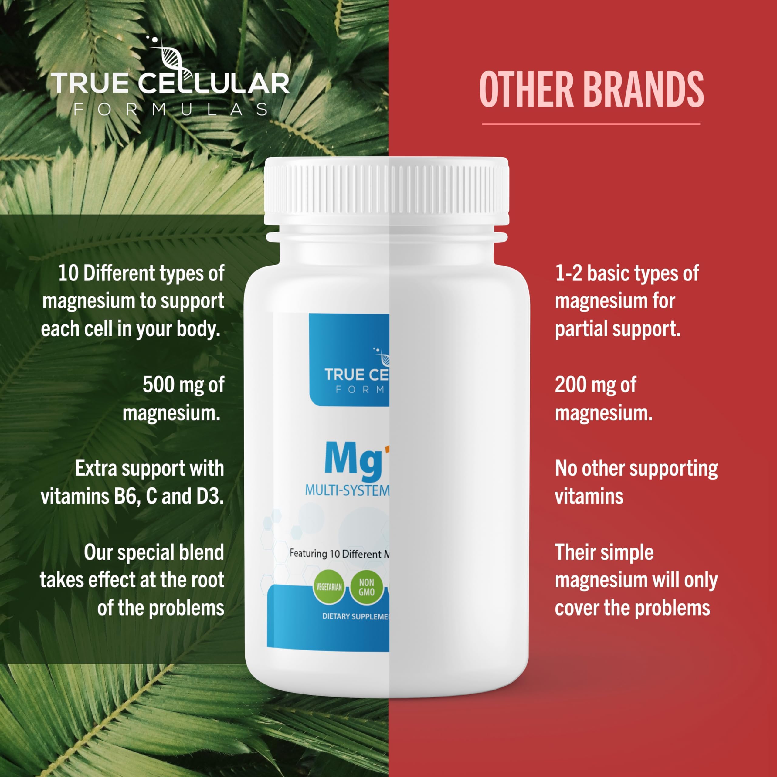 True Cellular Formulas Mg10X Multi-System Magnesium | Supplement to Support Sleep - 60 Capsules | Enhanced Sleep, Immune System & Metabolic Support | Includes Magnesium Glycinate, Citrate and More True Cellular Formulas Au supplements