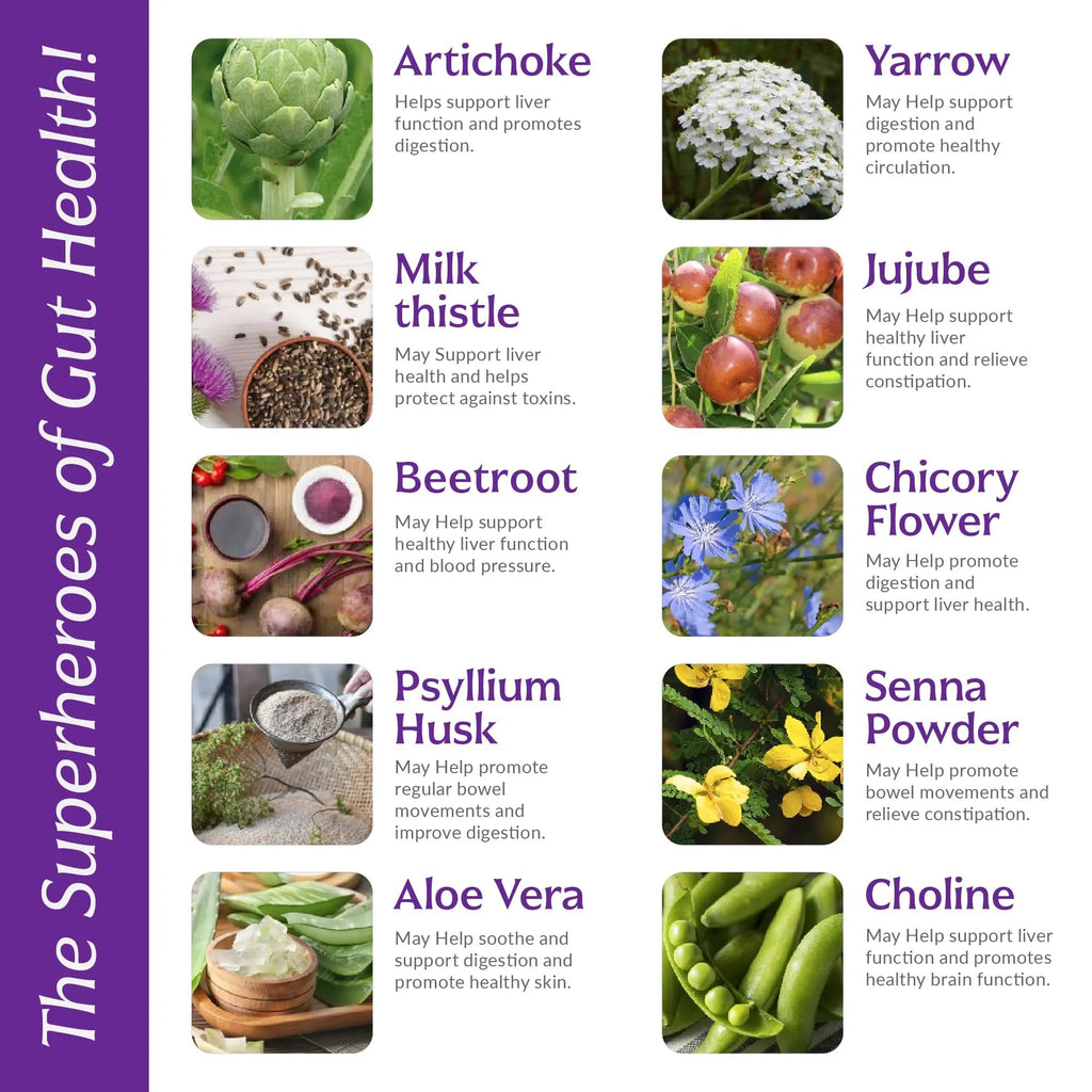 Liver Cleanse Detox & Repair with Colon Cleanse - Milk Thistle, Dandelion Root, Psyllium Husk Fiber Nutreb Au supplements