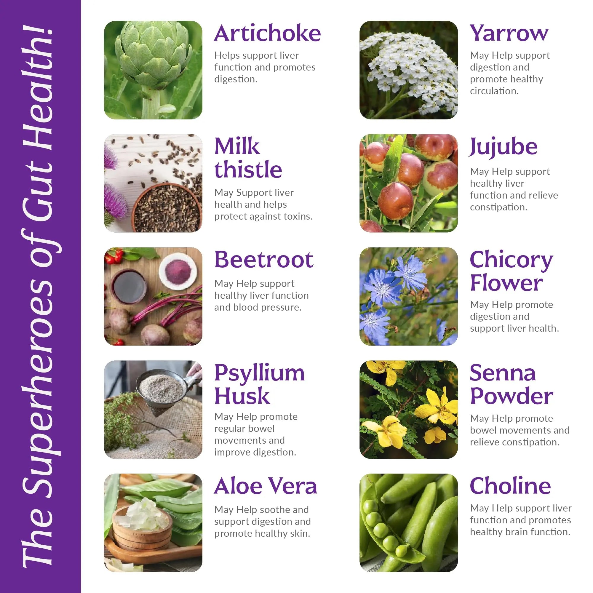 Liver Cleanse Detox & Repair with Colon Cleanse - Milk Thistle, Dandelion Root, Psyllium Husk Fiber Nutreb Au supplements