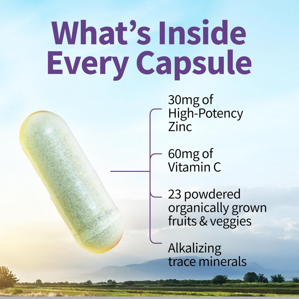 Garden of Life Zinc Supplements 30mg High Potency Raw Zinc and Vitamin C Multimineral Supplement, Vitamin Code Vitamins Trace Minerals & Probiotics