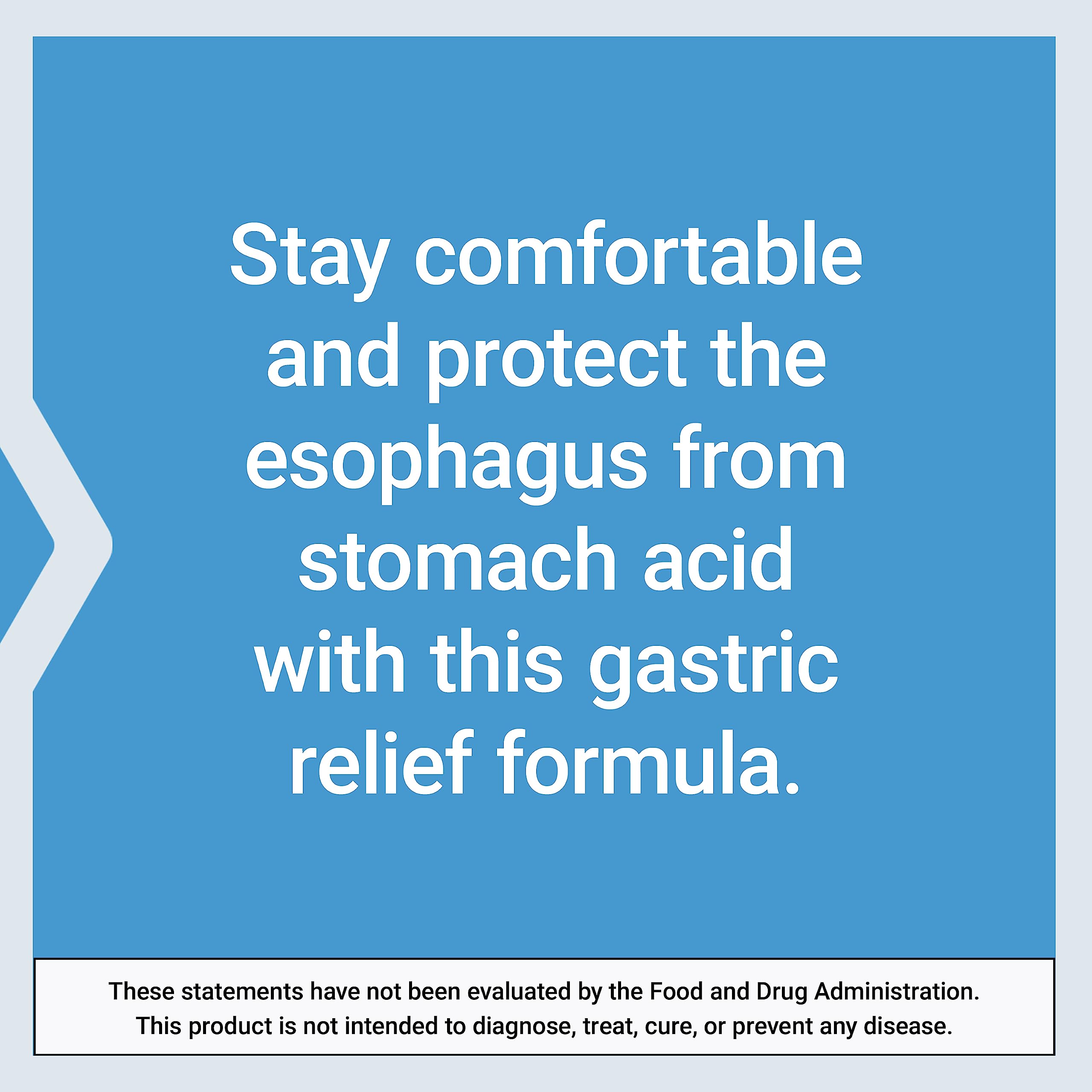 Life Extension Esophageal Guardian, alginic Acid, Potassium Bicarbonate, get Long-Lasting Relief from gastric Distress, Vegetarian, Non-GMO