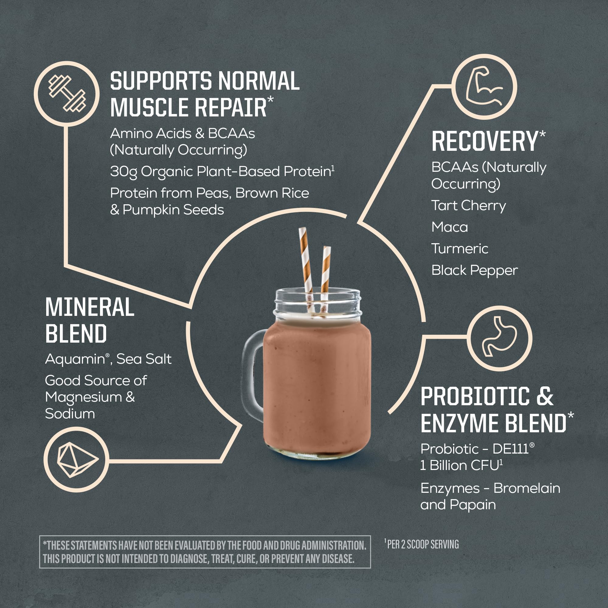 Sunwarrior Organic Plant Based Protein Powder | Vegan Organic Protein Powder with BCAA Amino Acids Plus Recovery Minerals & Botanicals | Non-GMO Soy Dairy & Gluten Free